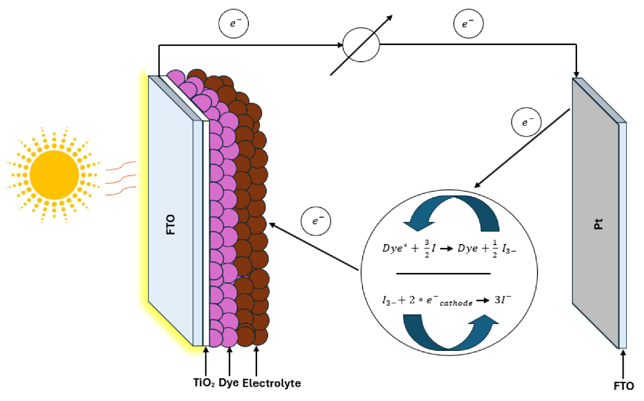 Colorants 03 00022 g003