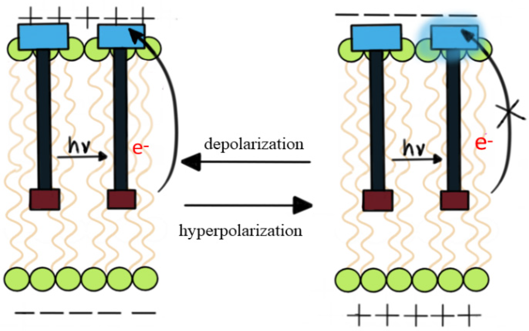 Colorants 03 00025 g003