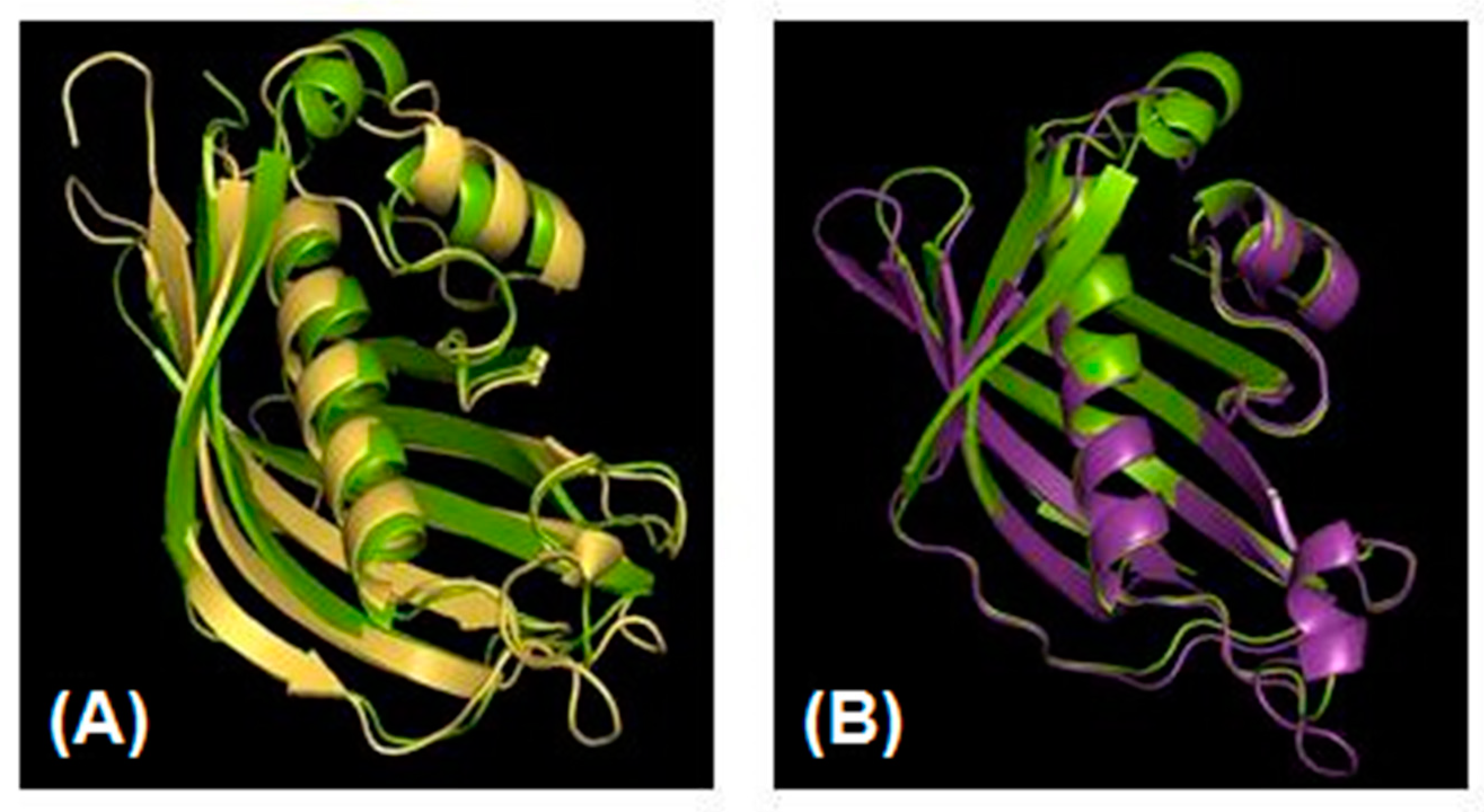 Colorants 04 00001 g003