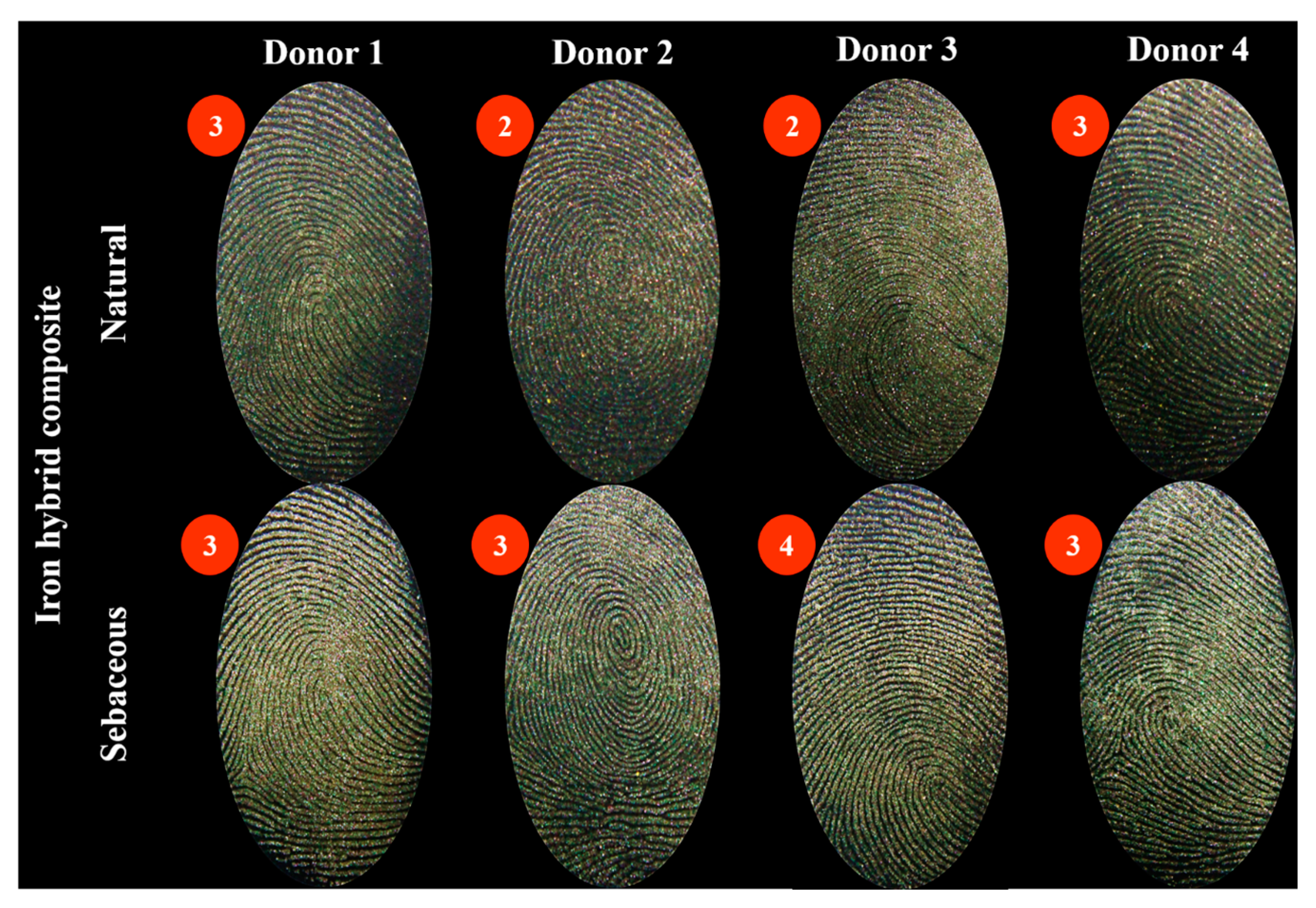 Colorants 04 00003 g006