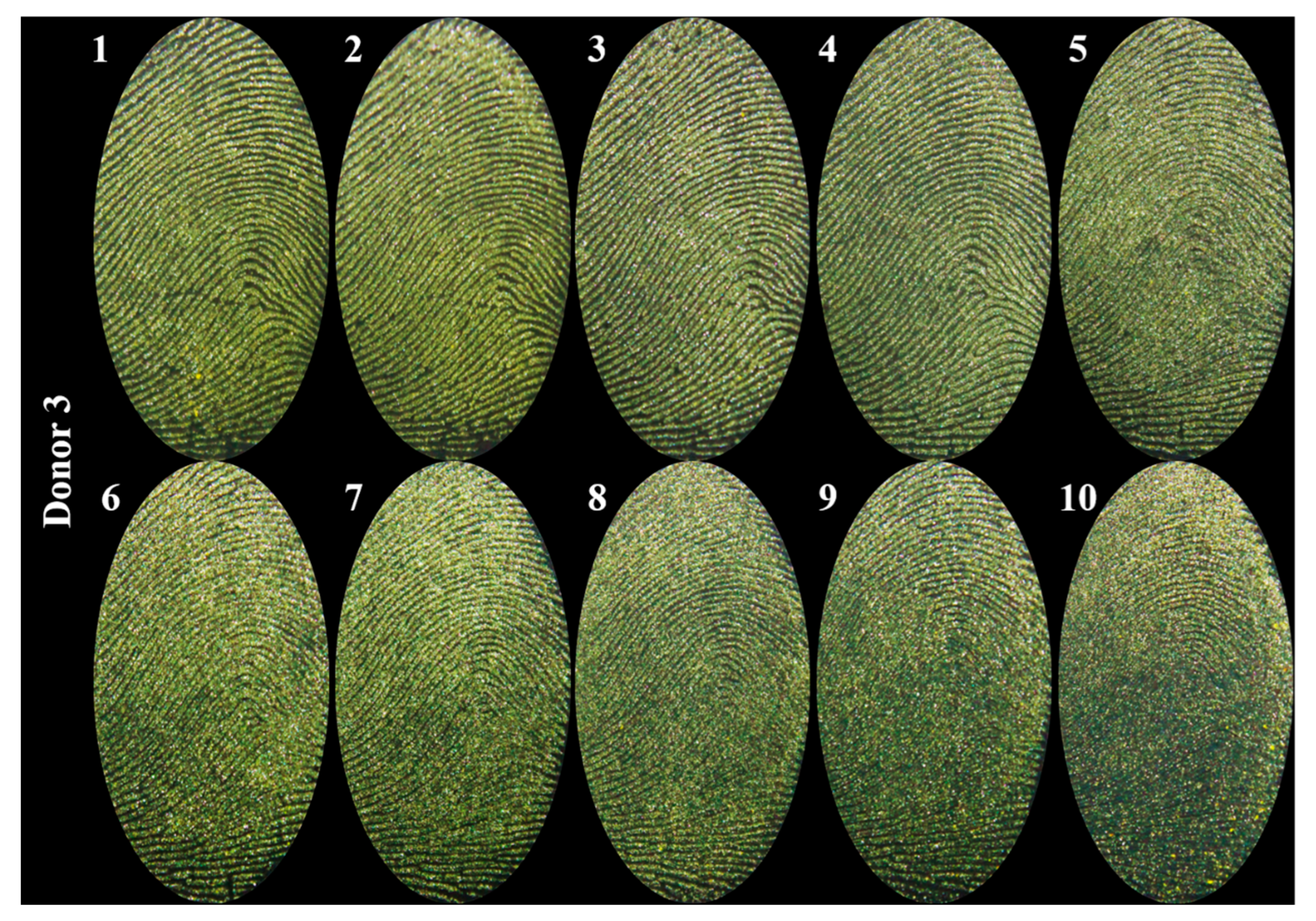Colorants 04 00003 g007