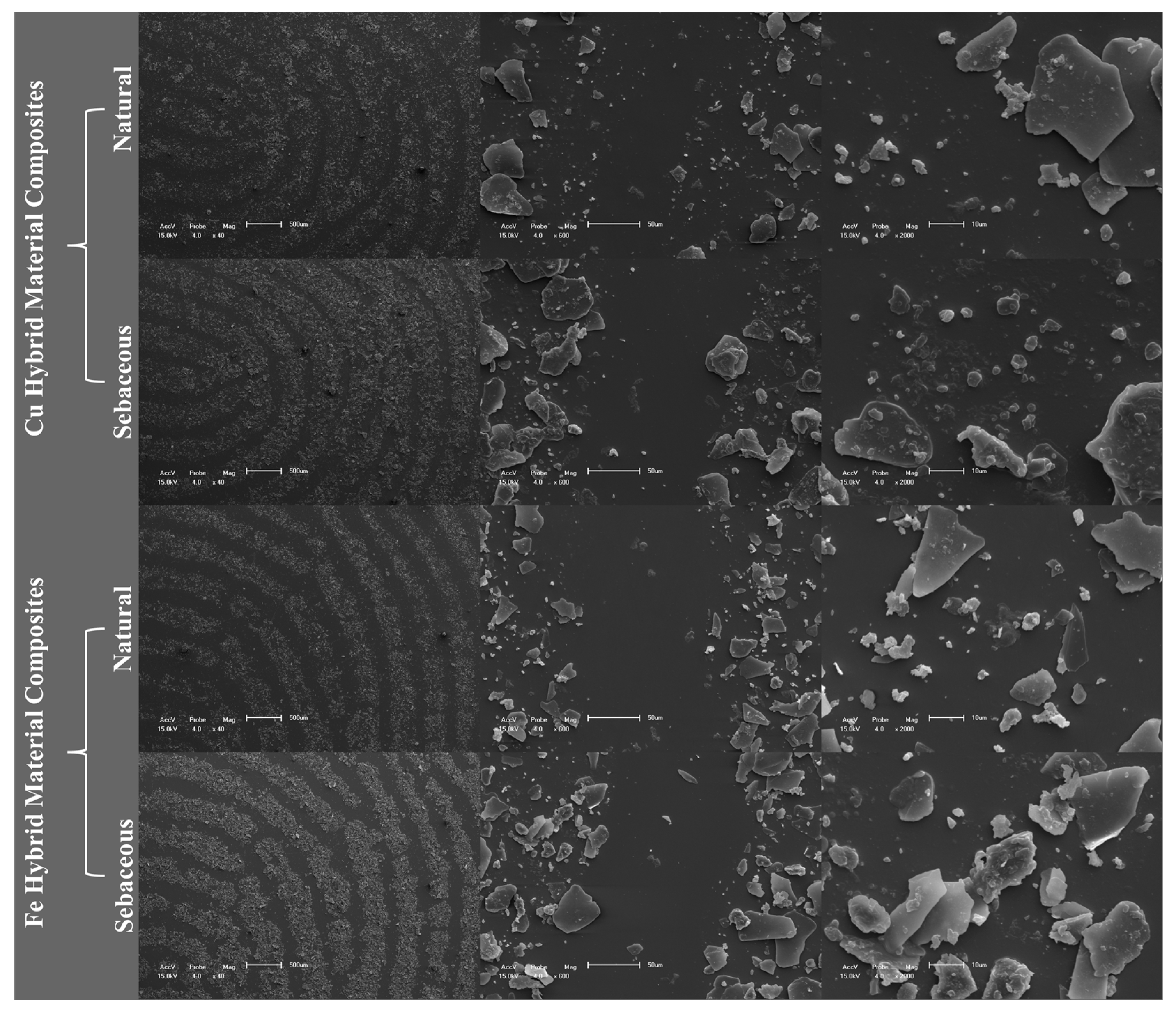 Colorants 04 00003 g010