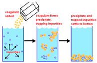 Colorants 04 00007 i002