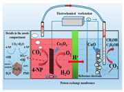 Colorants 04 00007 i003