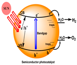 Colorants 04 00007 i004