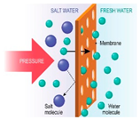 Colorants 04 00007 i005