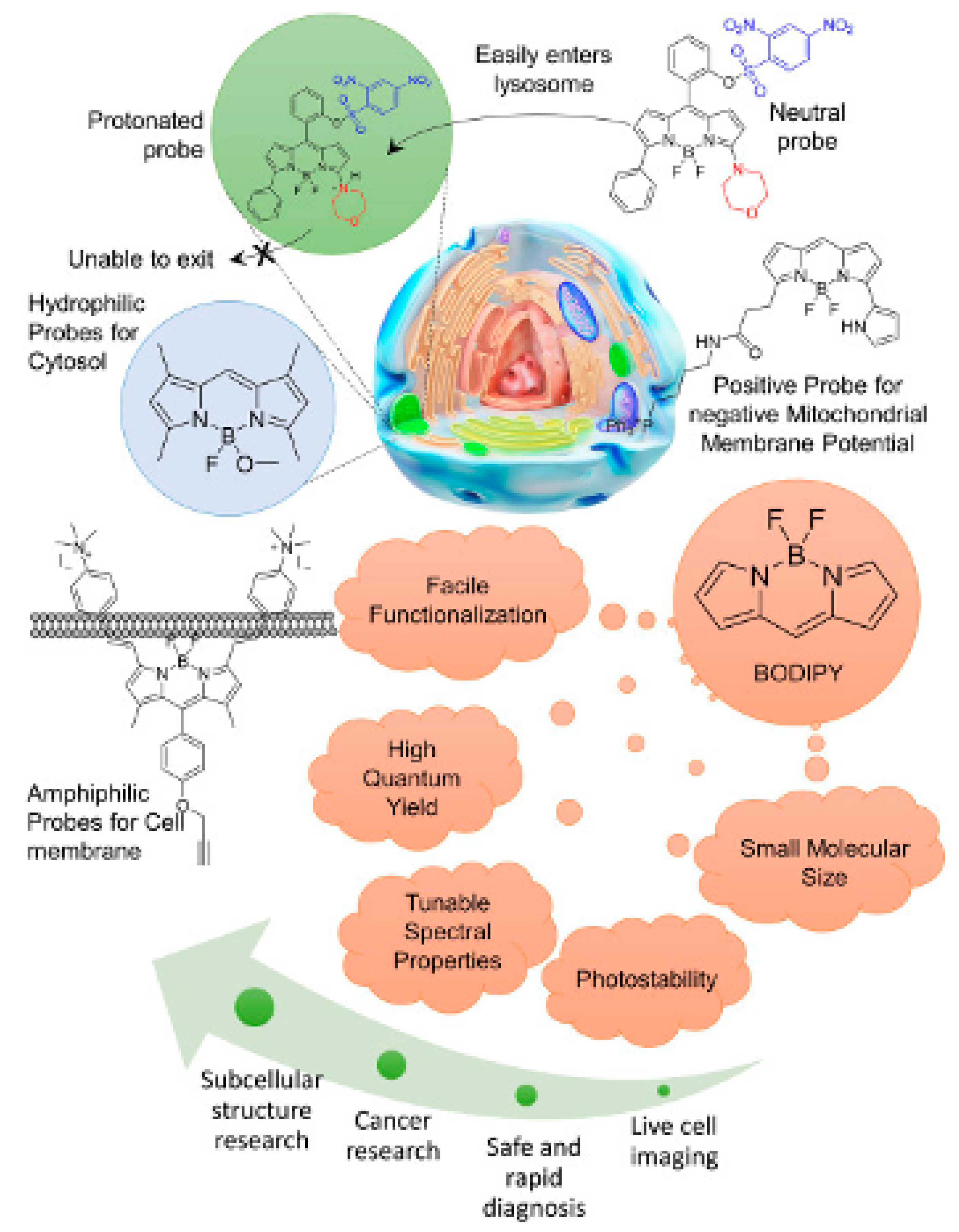 Colorants 04 00013 g004