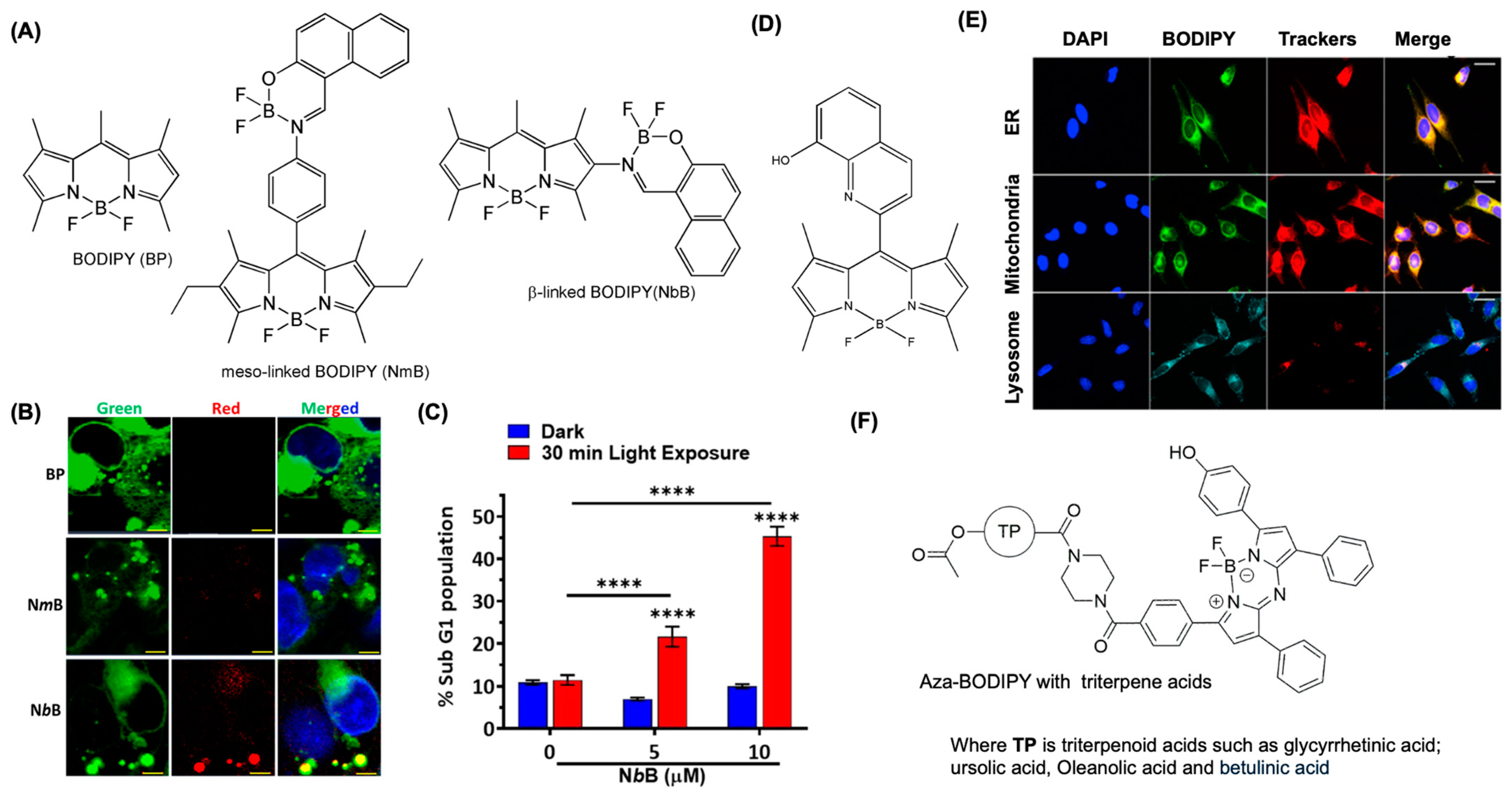 Colorants 04 00013 g008