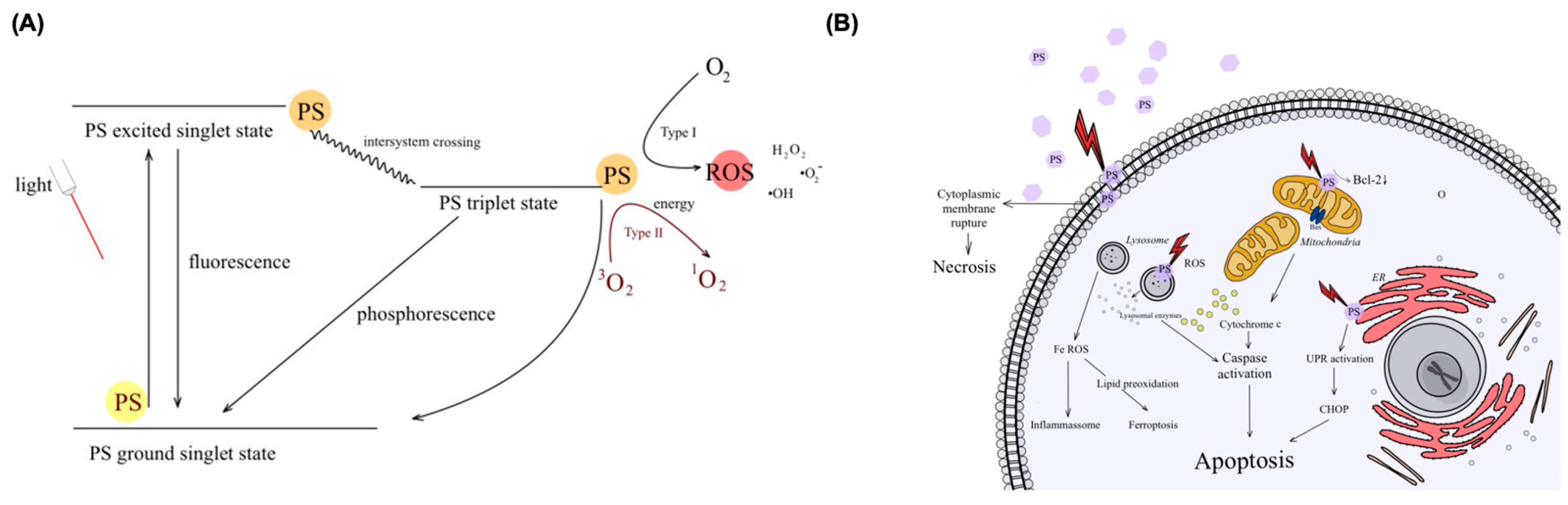 Colorants 04 00013 g011