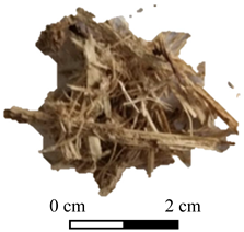 Colorants 04 00021 i007