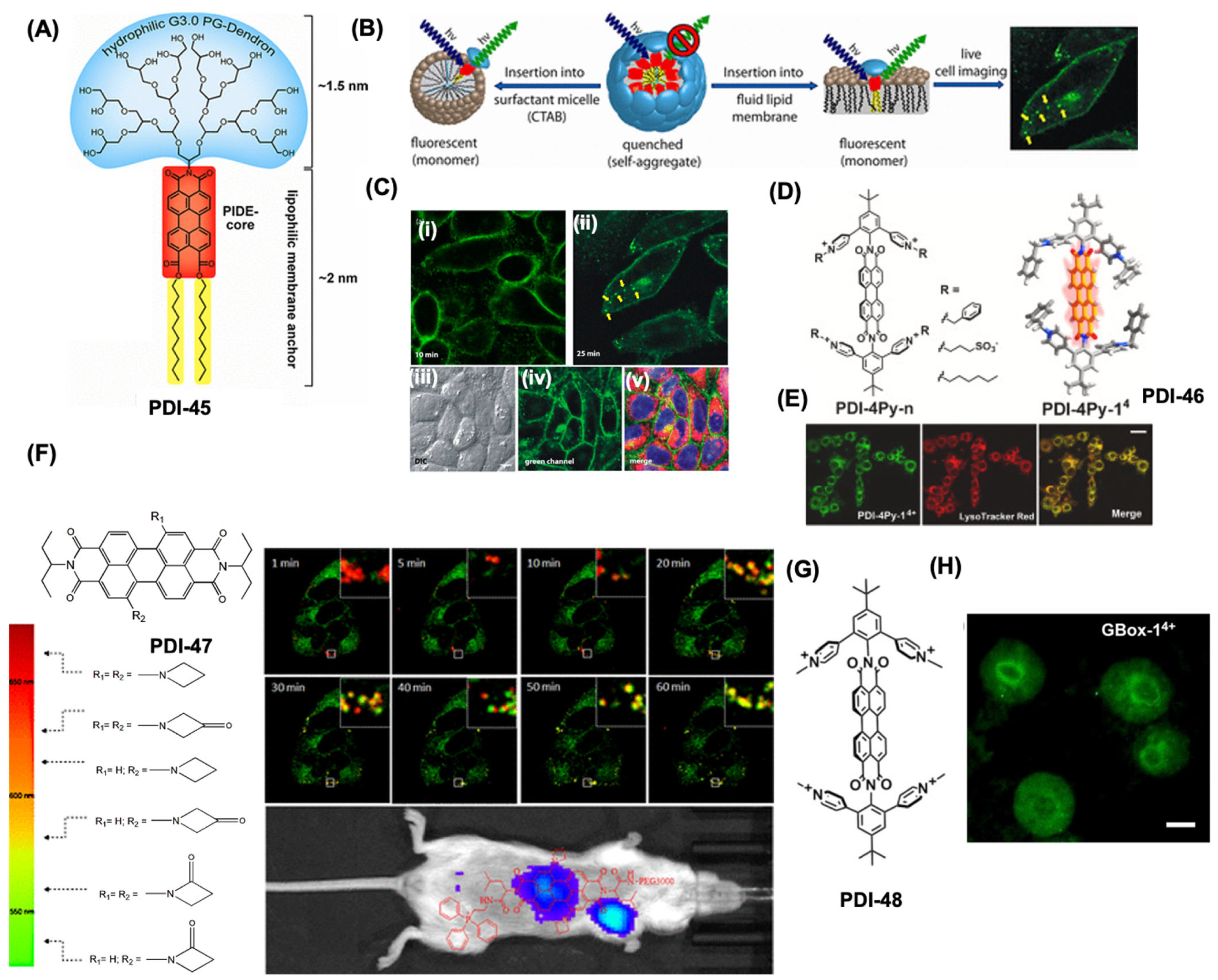 Colorants 04 00022 g010