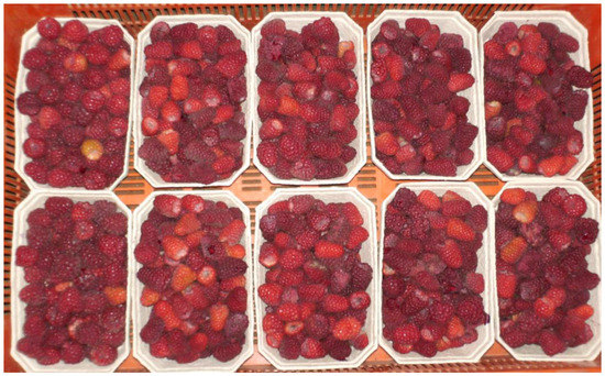 Evaluation of the Quality of Raspberries (Rubus idaeus L.) Grown in ...