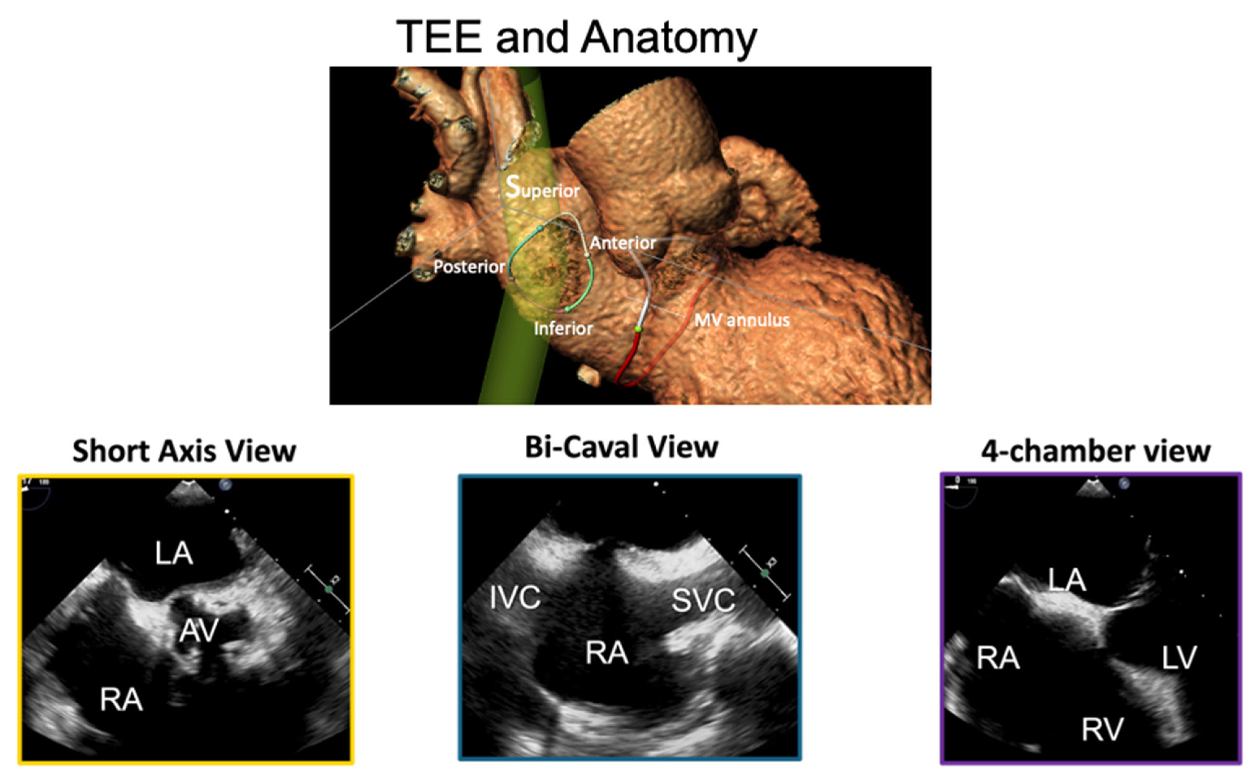 Complications 02 00014 g001