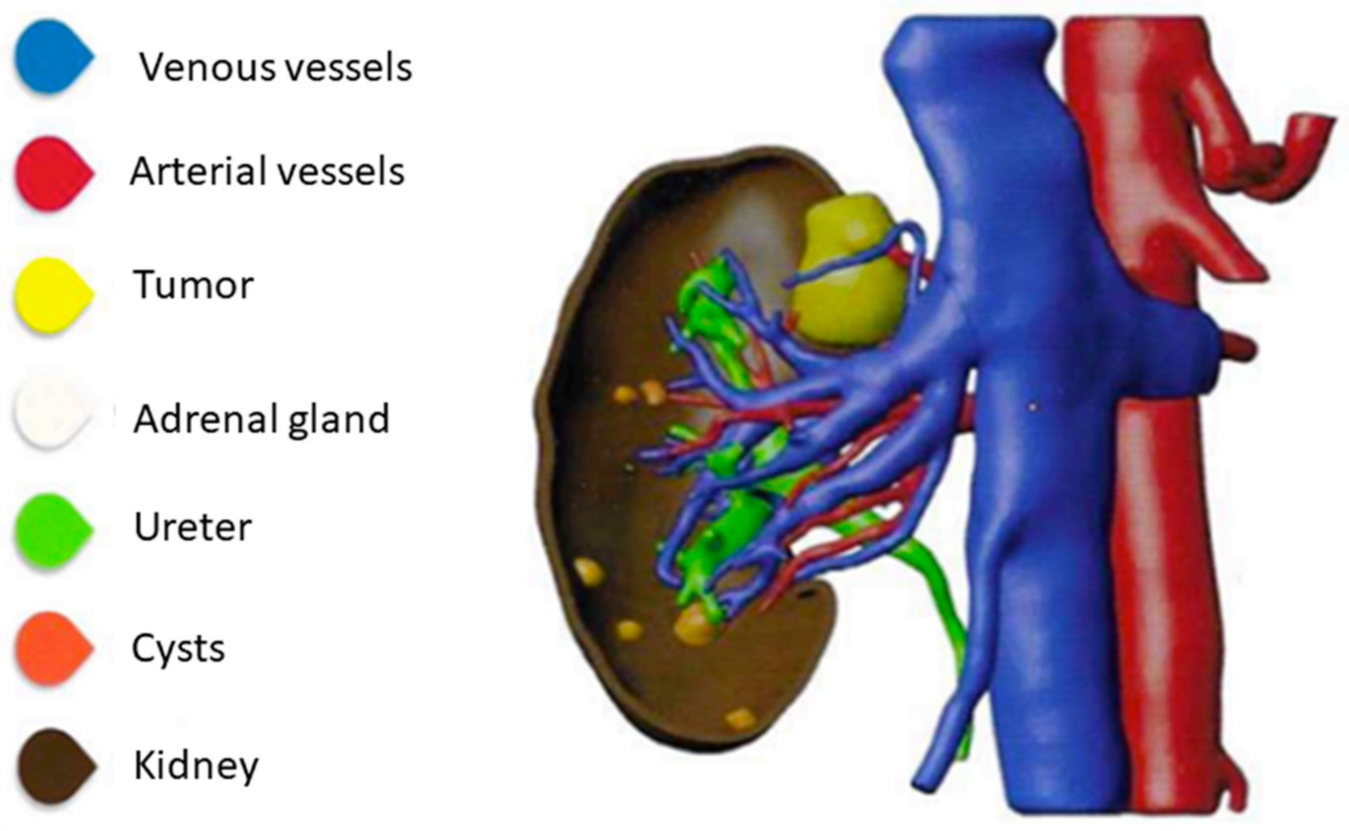Complications 02 00018 g001 Complications 02 00018 g001