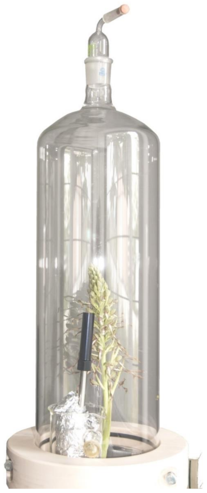 Compounds 01 00015 g003 550