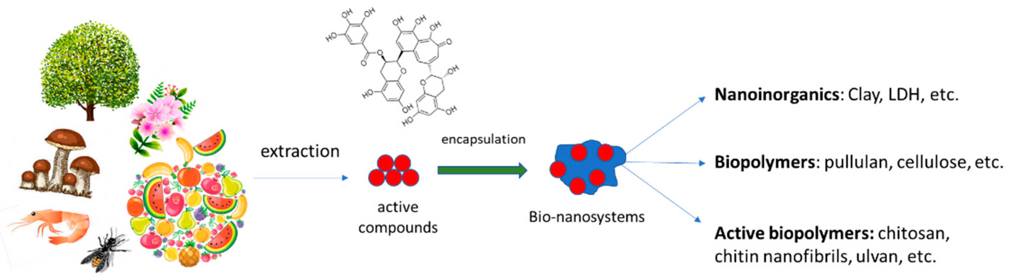 Compounds 02 00016 g001