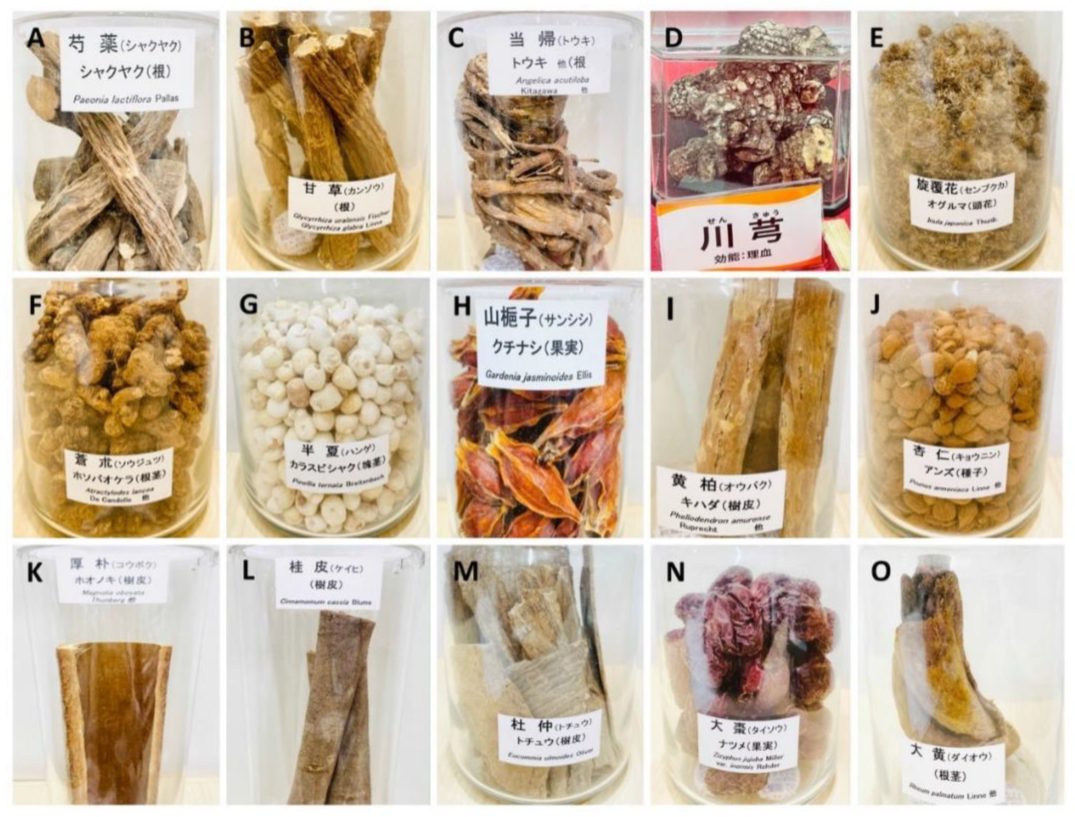 日本鍼灸医学 (Traditional Japanese Medicine) TRUMPET BRAND Seirogan Herbal Supplement - Tak Shing Hong