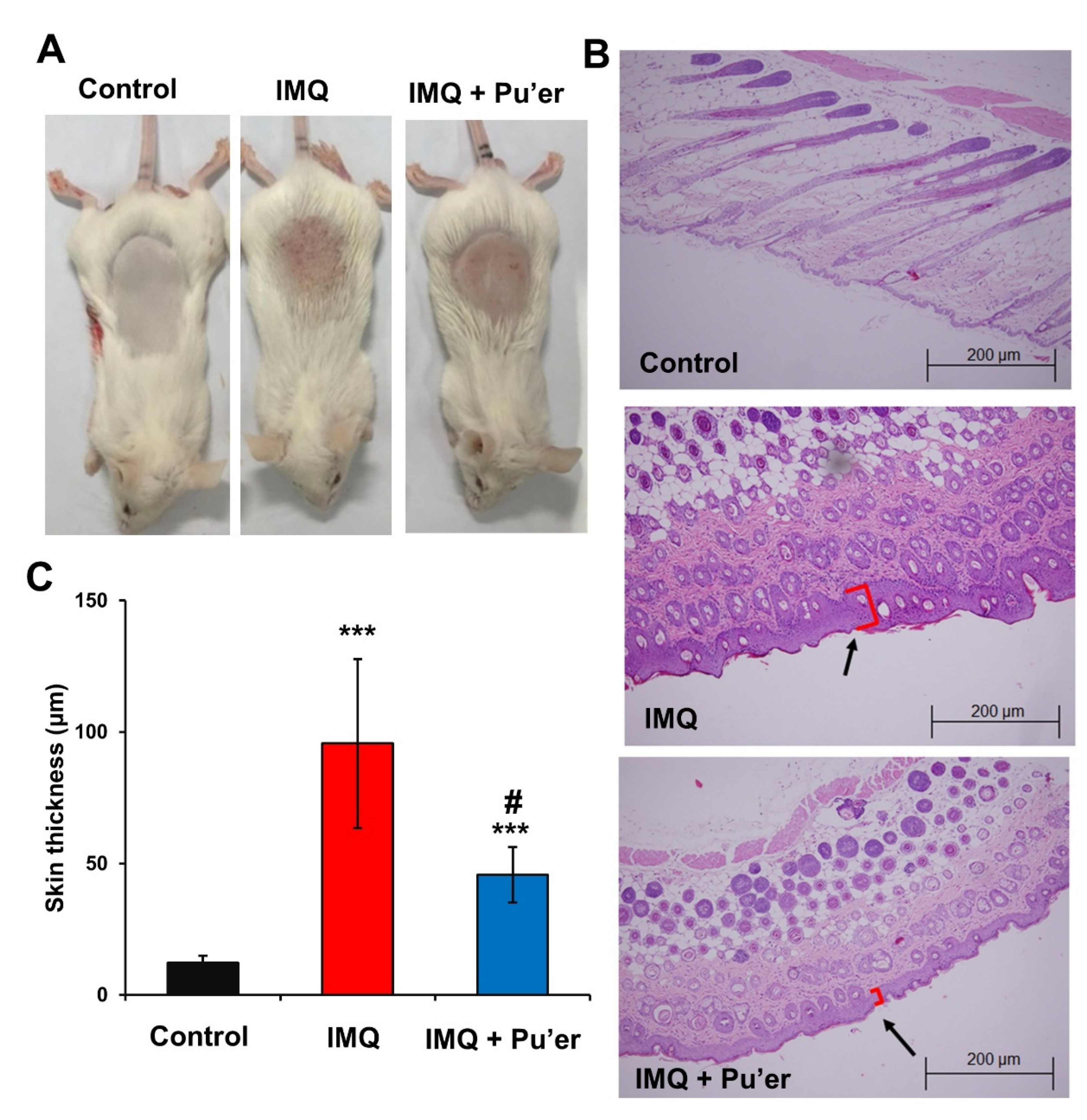 Compounds 02 00024 g003 Compounds 02 00024 g003
