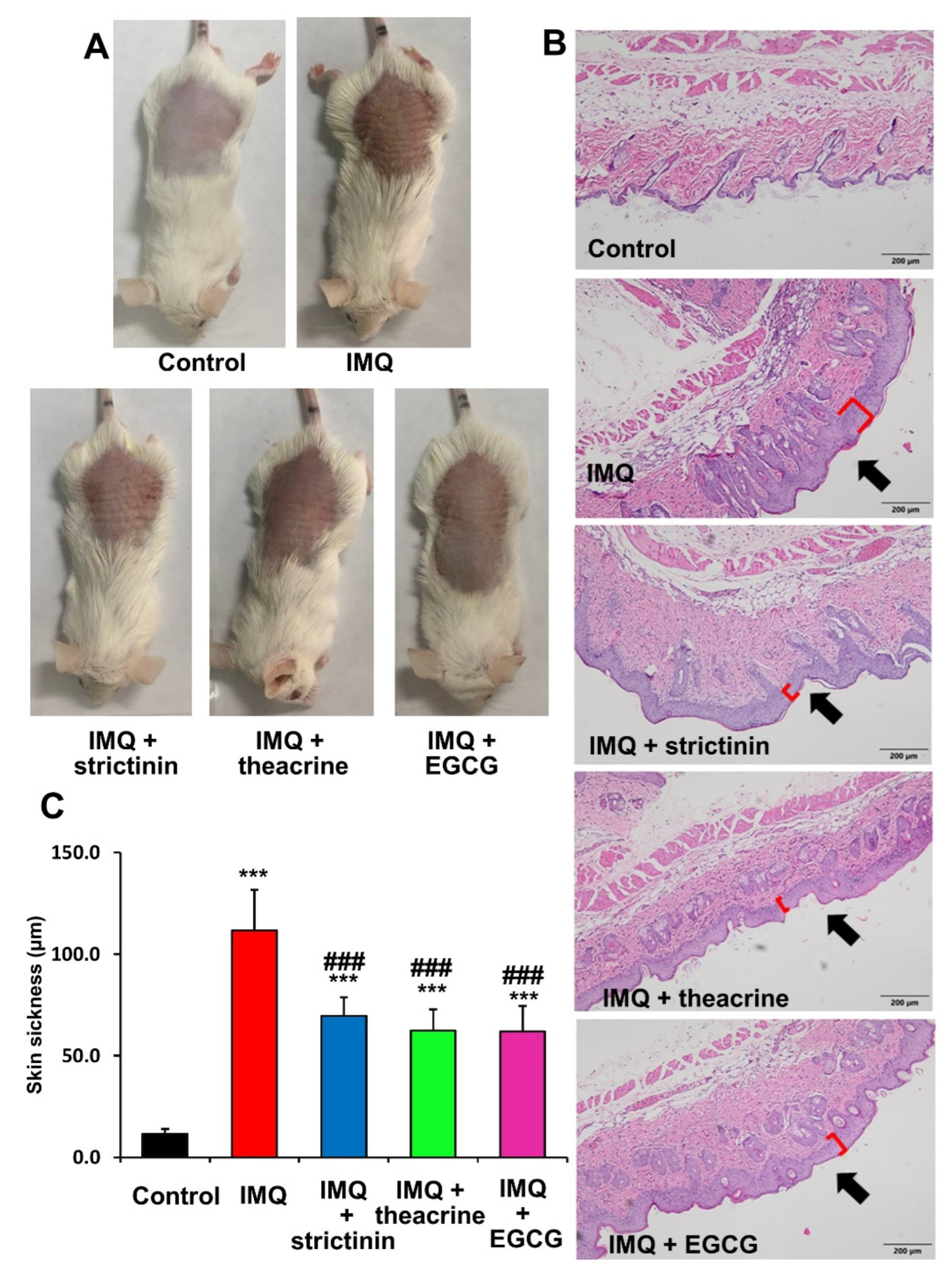 Compounds 02 00024 g007 Compounds 02 00024 g007