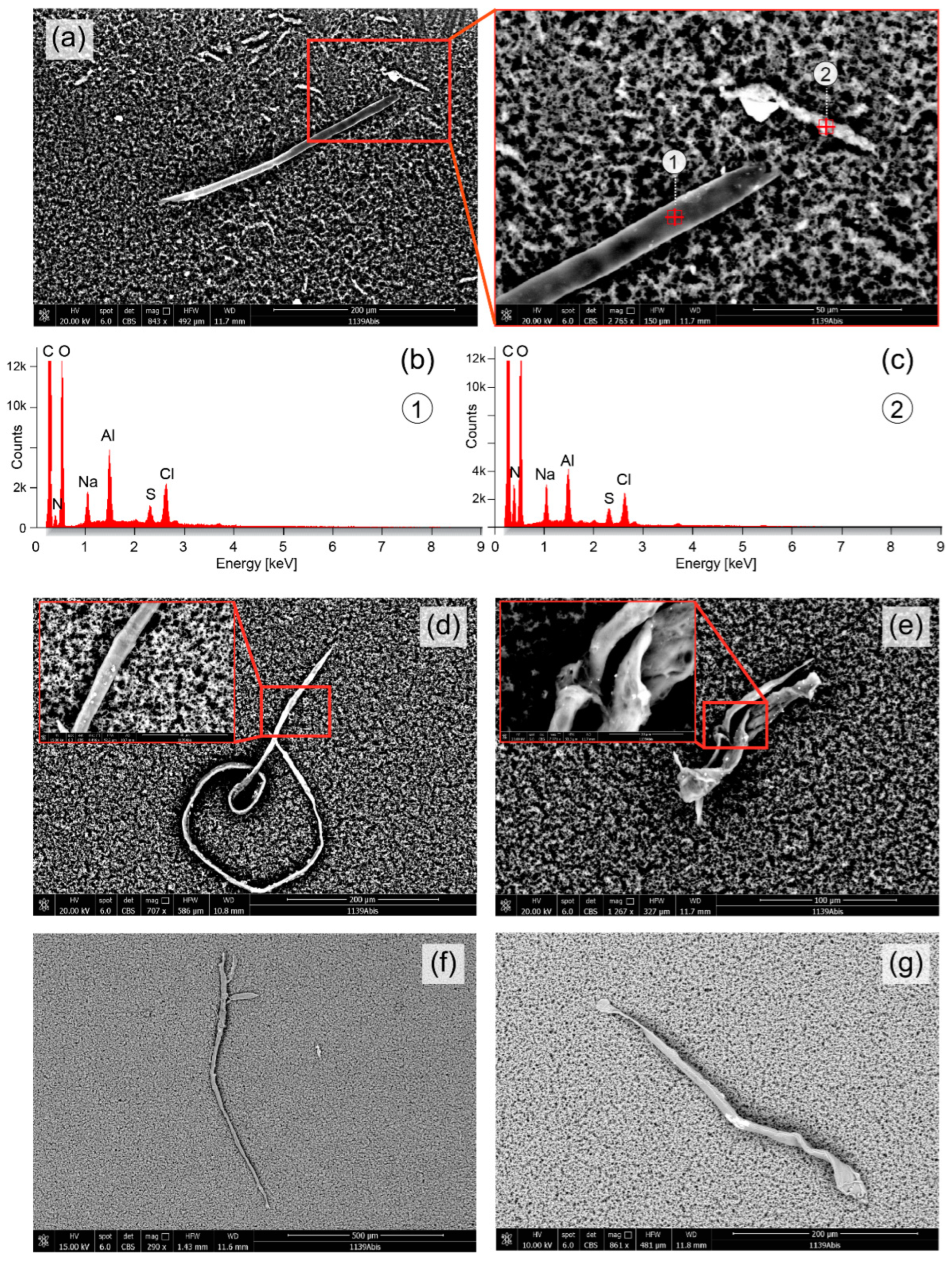 Compounds 02 00030 g004 Compounds 02 00030 g004