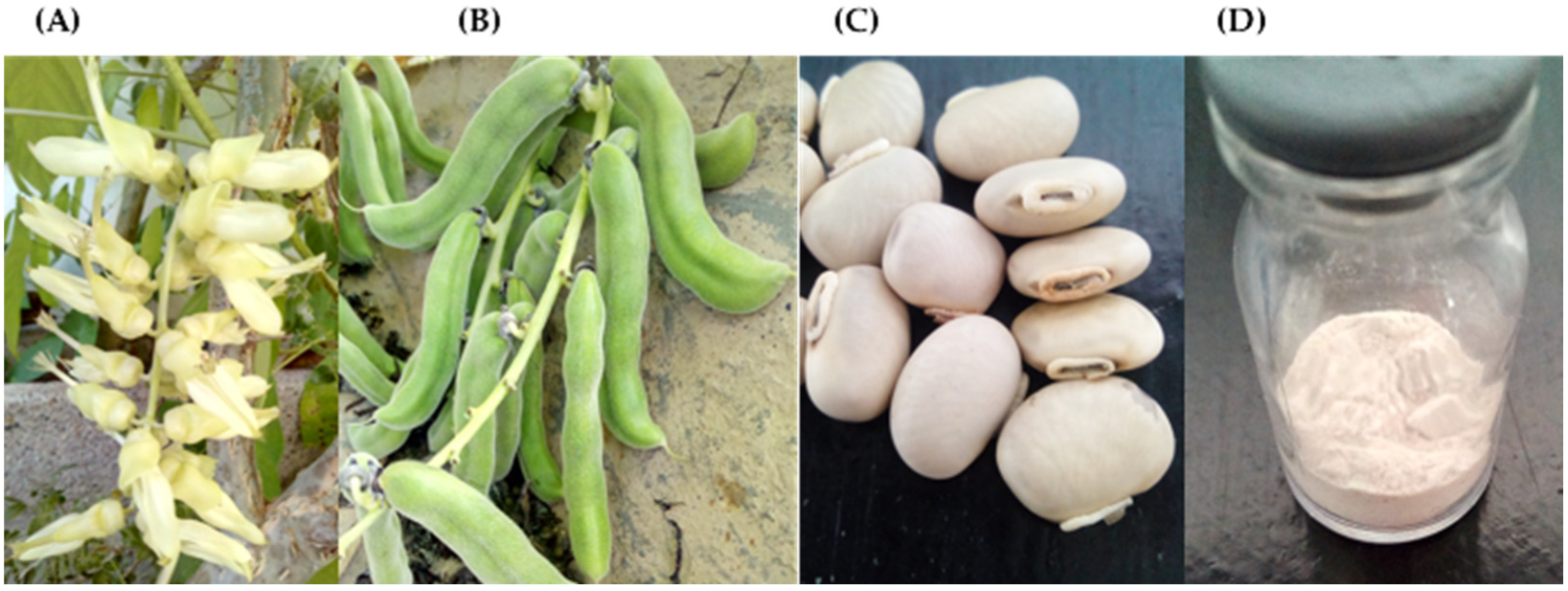 Compounds 03 00001 g001 Compounds 03 00001 g001