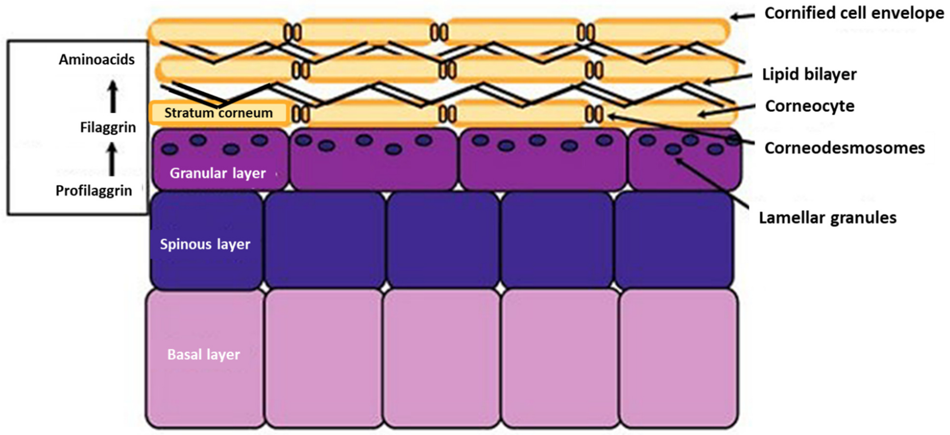 Compounds 03 00011 g002