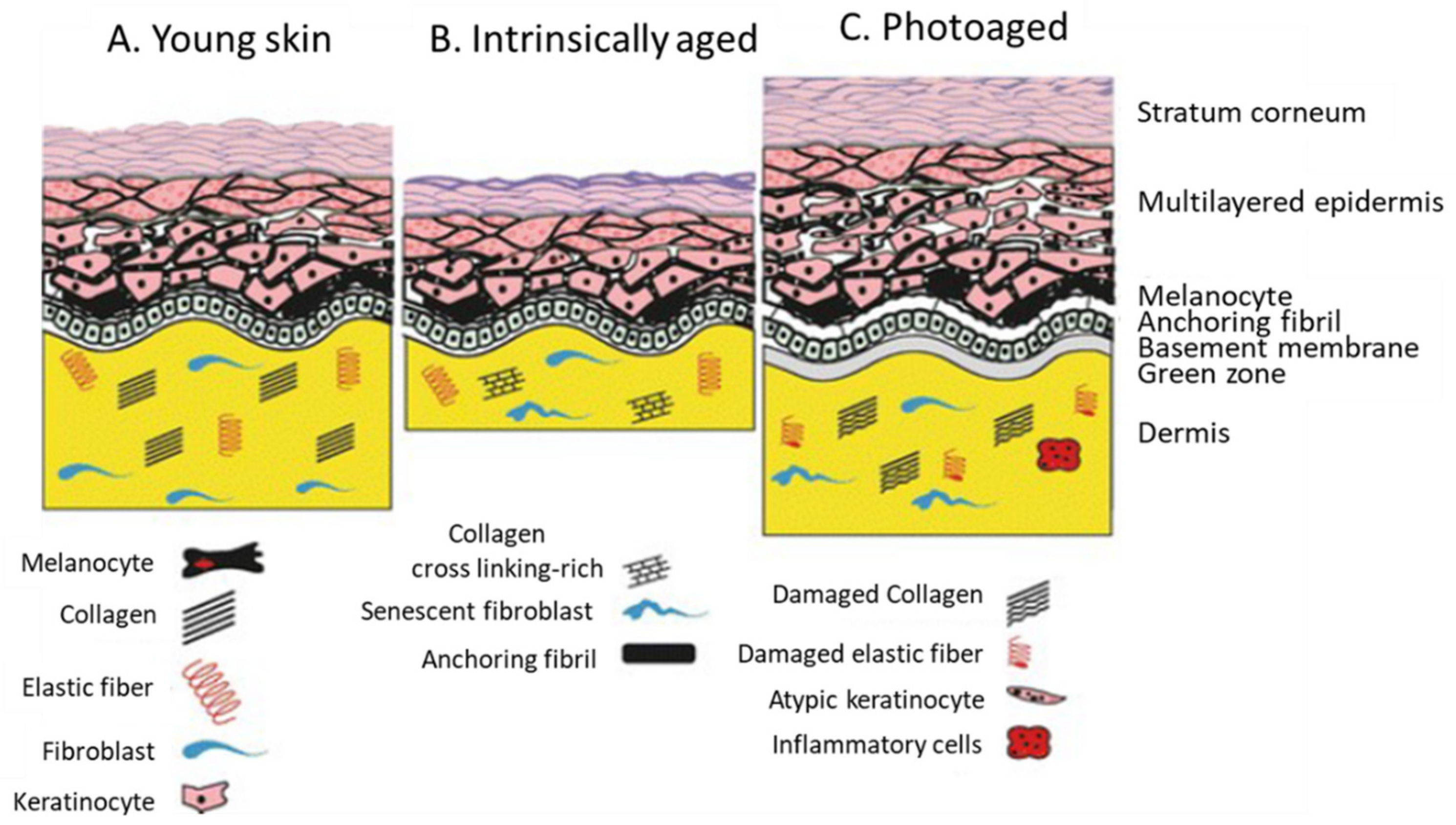 Compounds 03 00011 g004