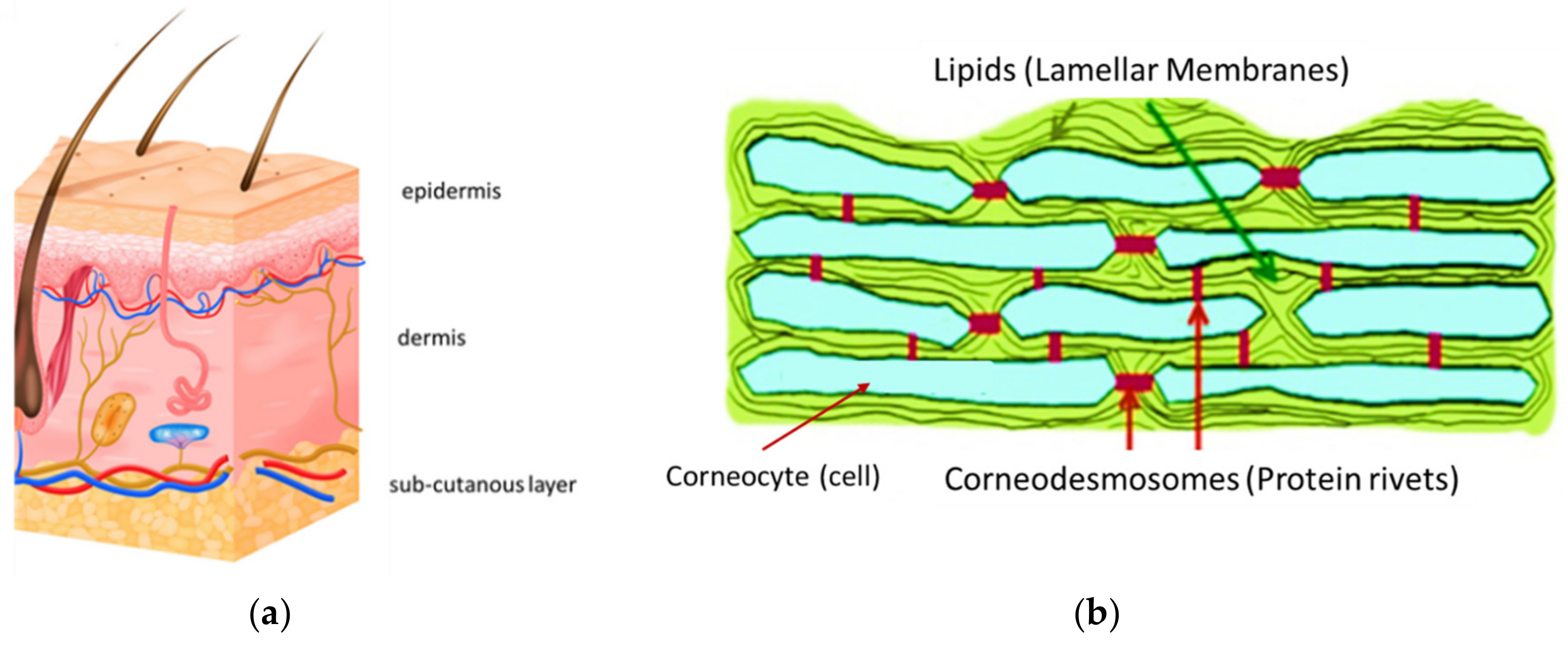 Compounds 03 00011 g005