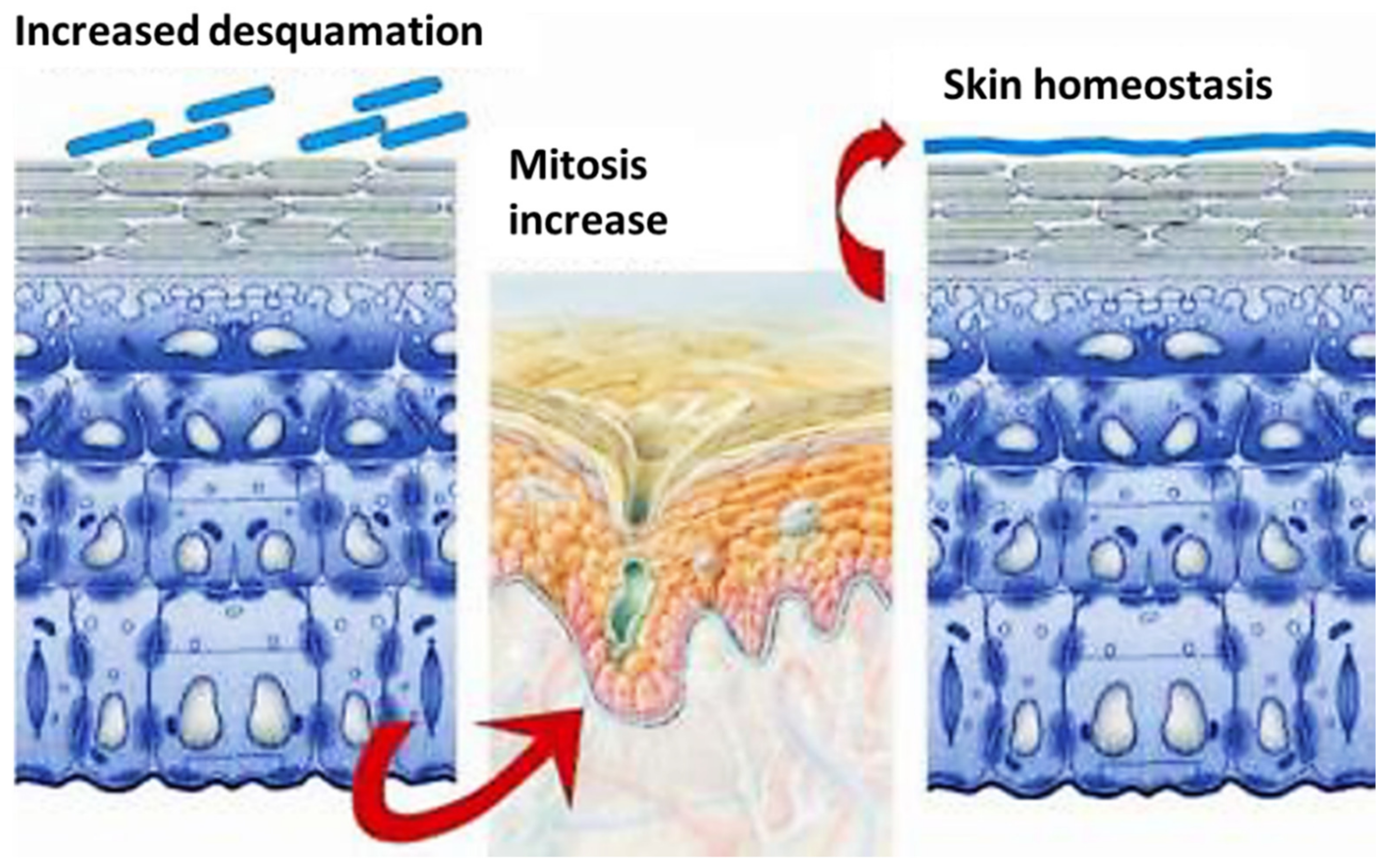 Compounds 03 00011 g006