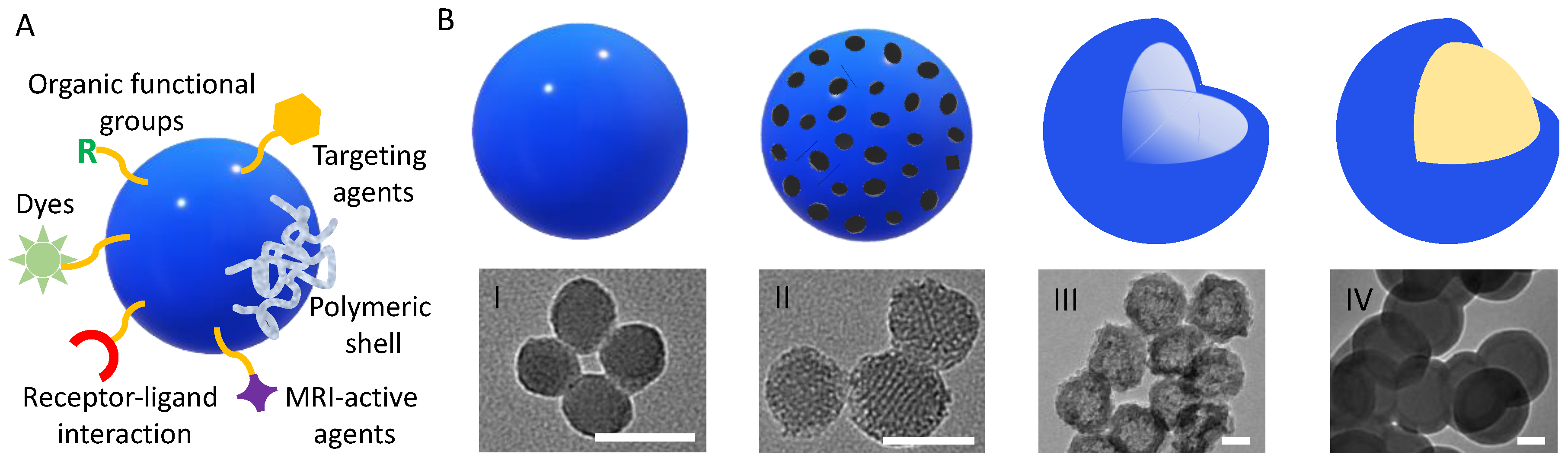 Compounds 03 00021 g001 Compounds 03 00021 g001