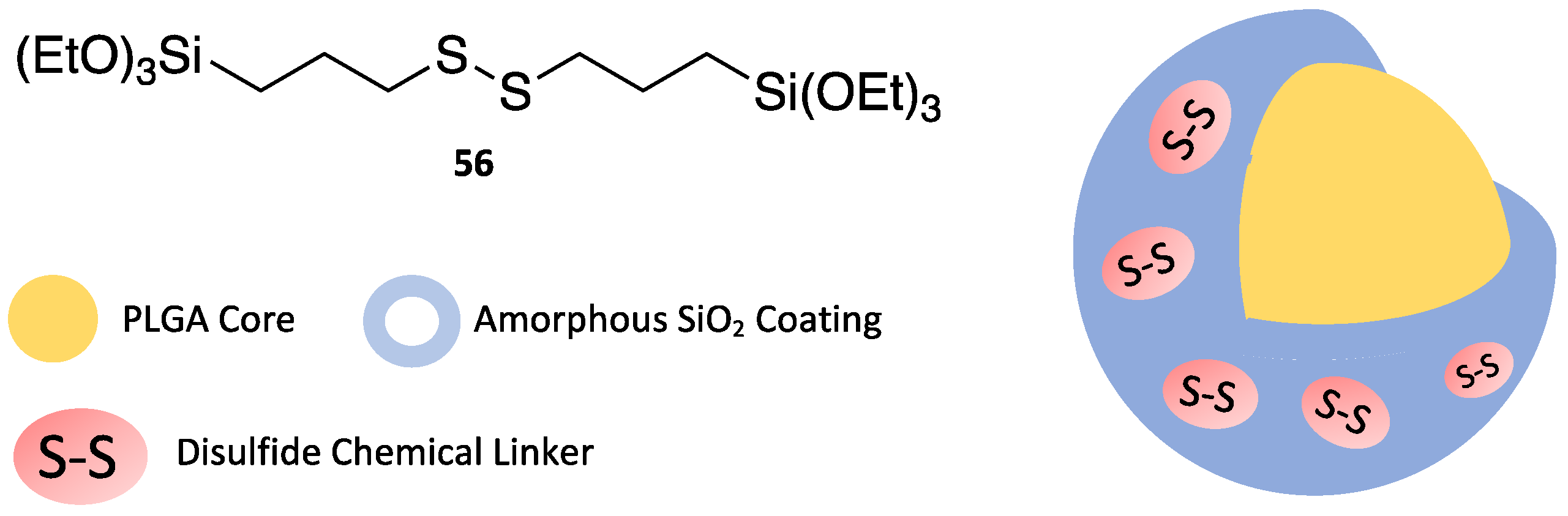 Compounds 03 00021 sch020 Compounds 03 00021 sch020