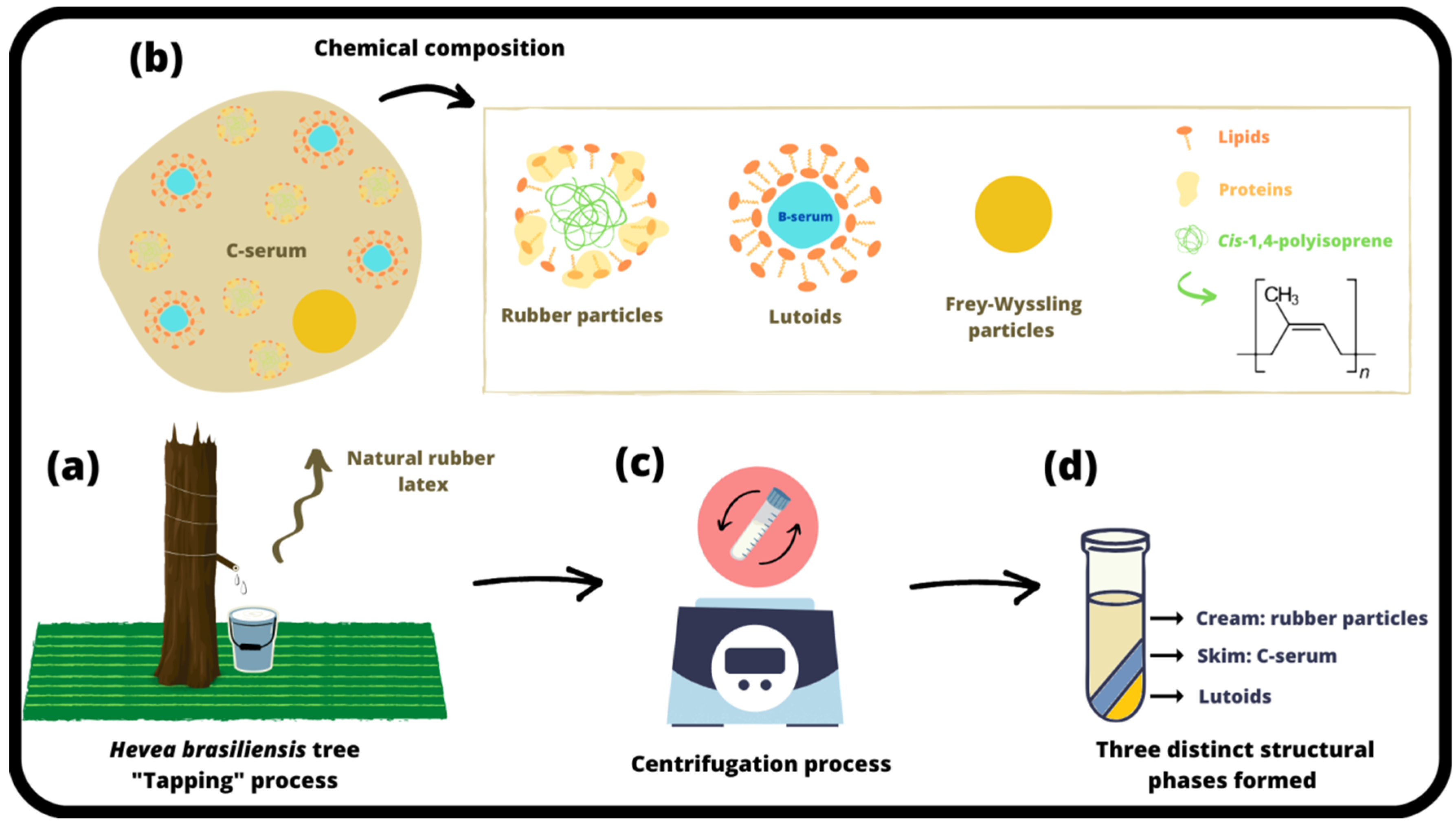 Compounds 03 00023 g002