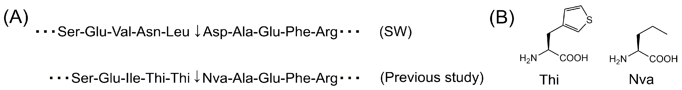 Compounds 03 00026 g001 Compounds 03 00026 g001