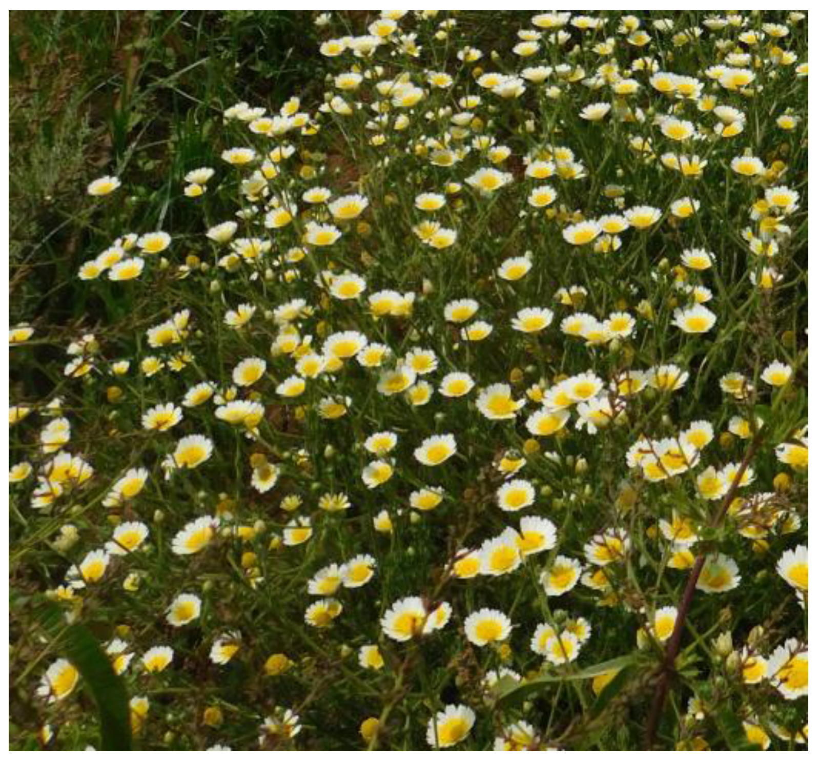 Compounds 03 00028 g001 Compounds 03 00028 g001