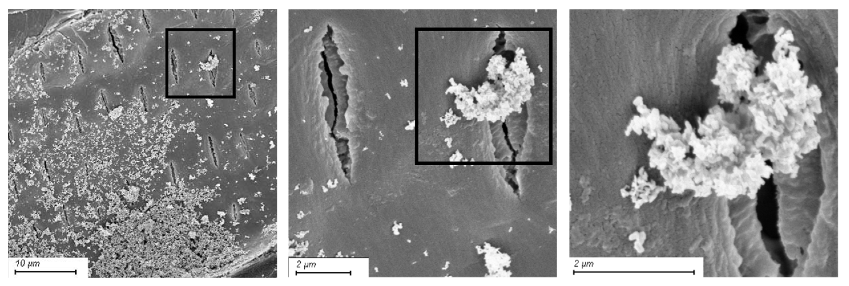 Compounds 03 00040 g003