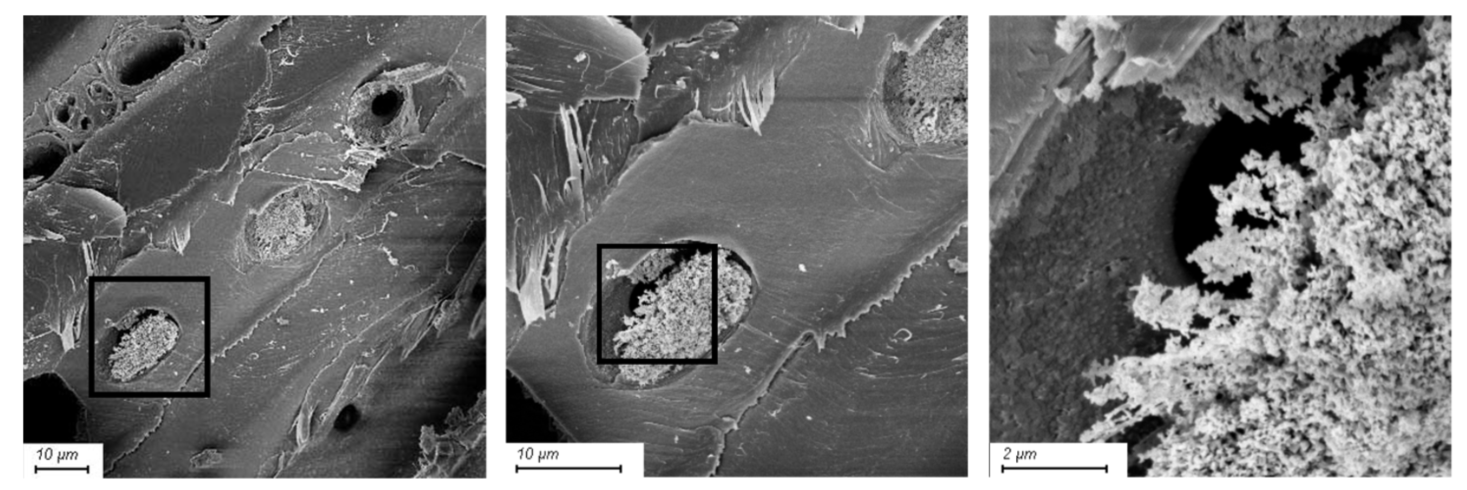 Compounds 03 00040 g004