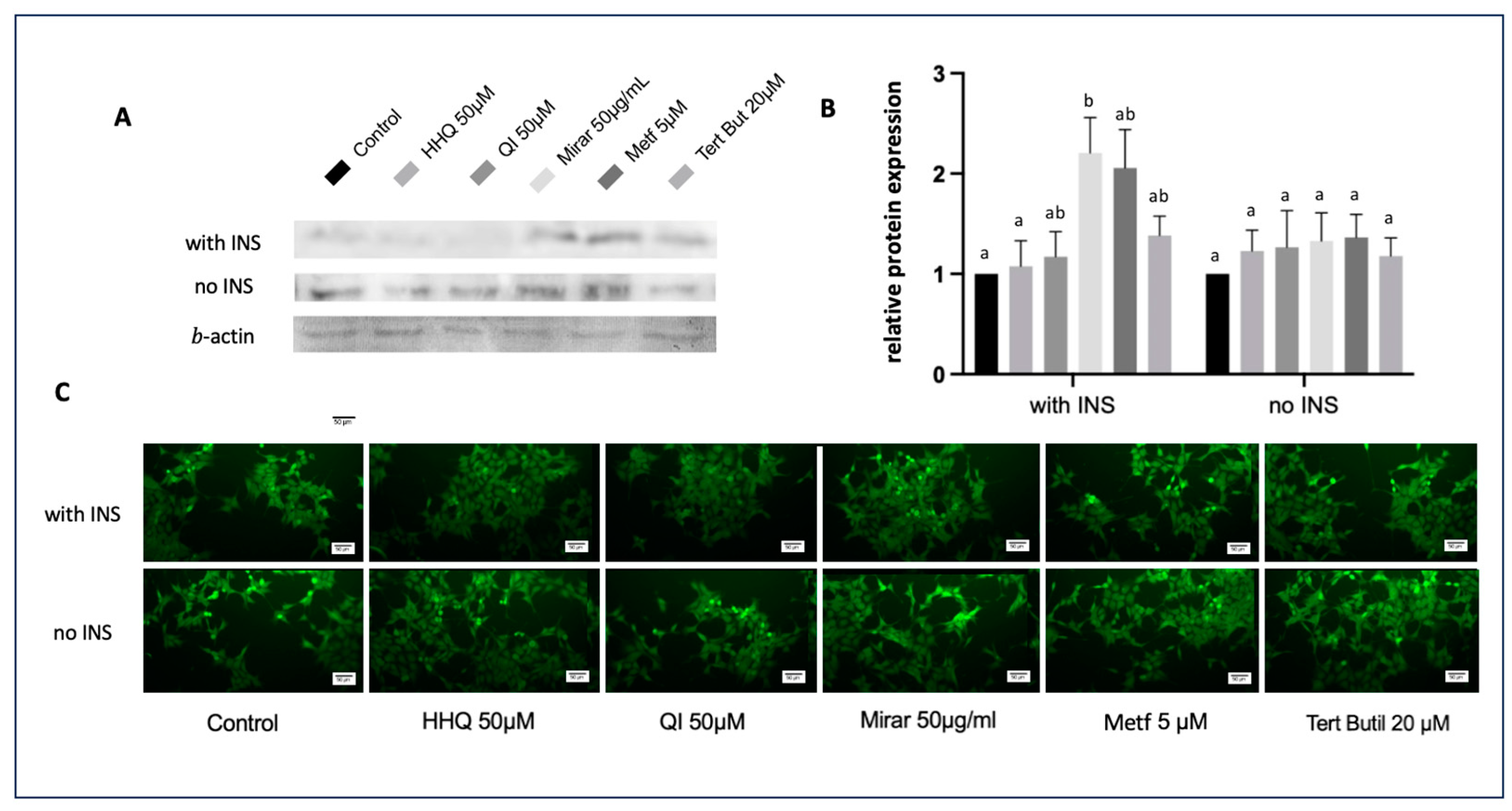 Compounds 04 00002 g012 Compounds 04 00002 g012