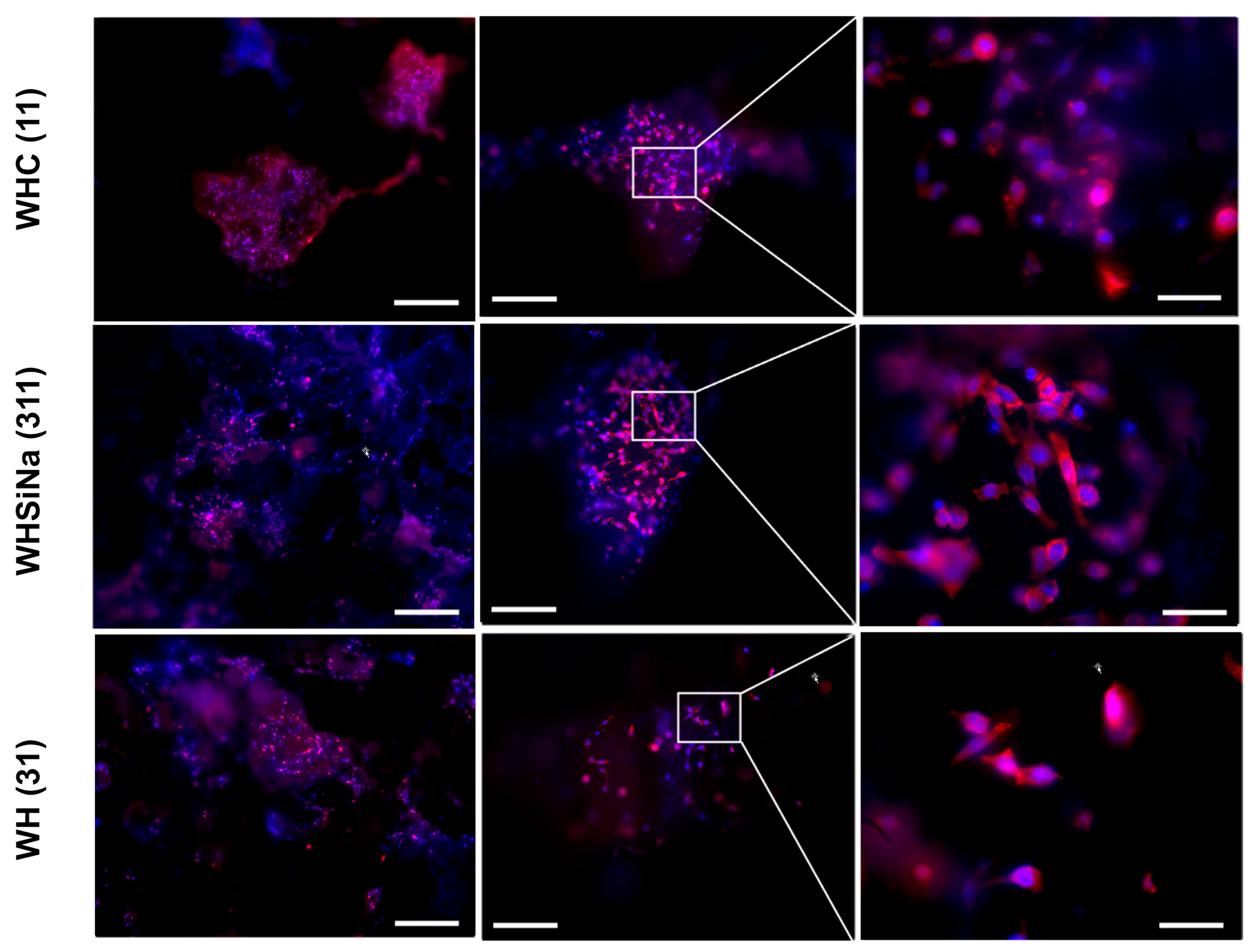 Compounds 04 00005 g010
