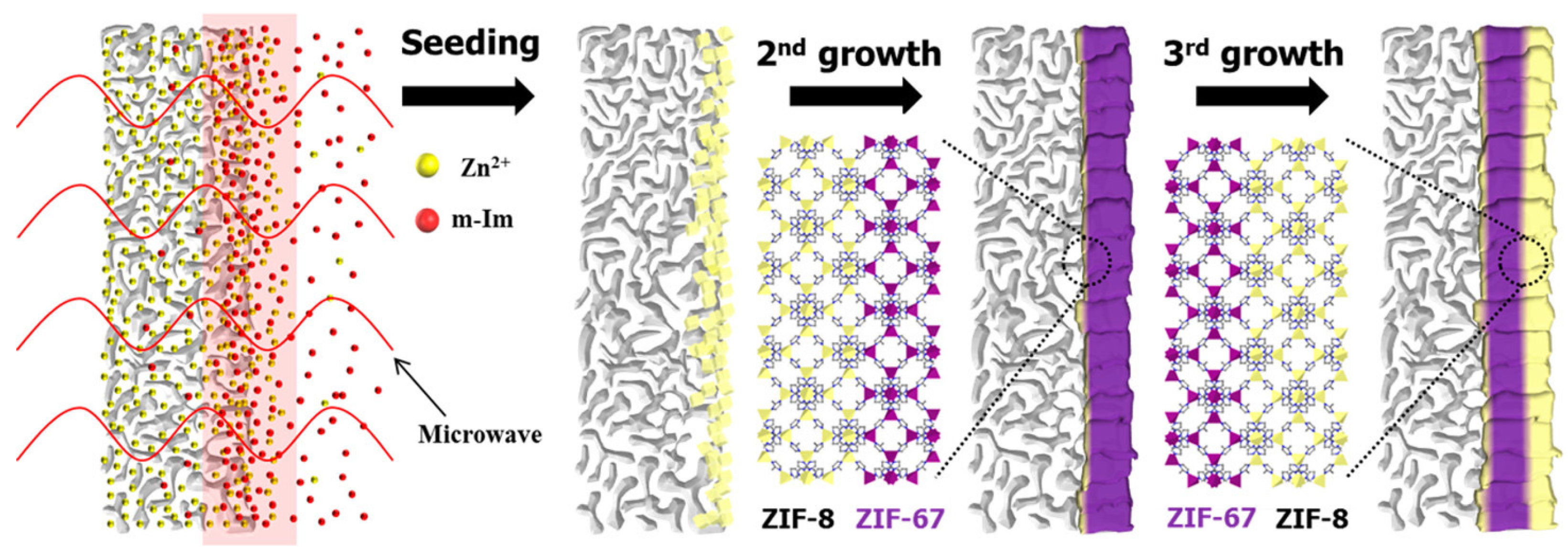 Compounds 04 00007 g008