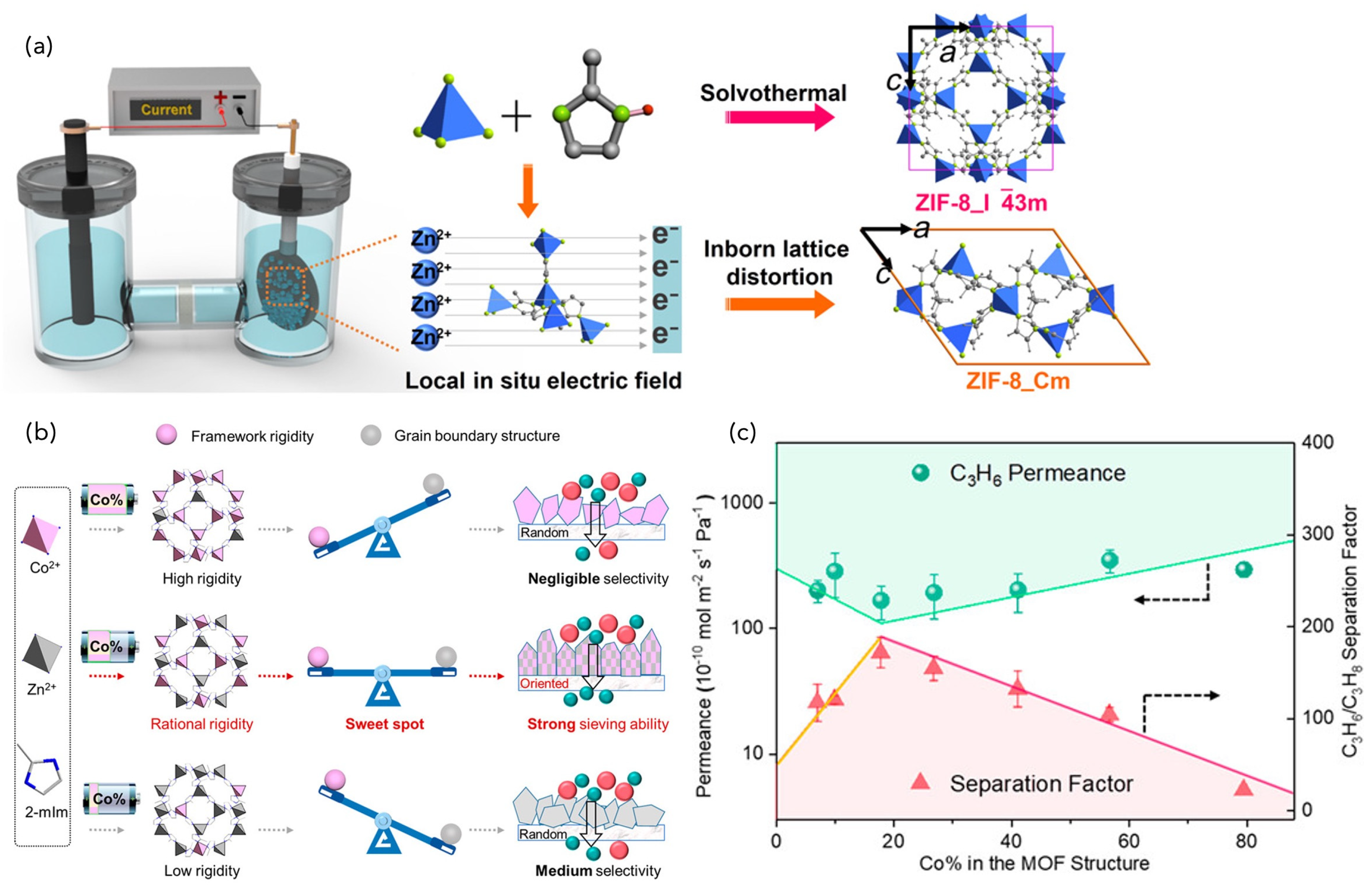 Compounds 04 00007 g009