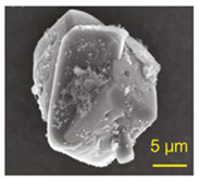 Compounds 04 00012 i001