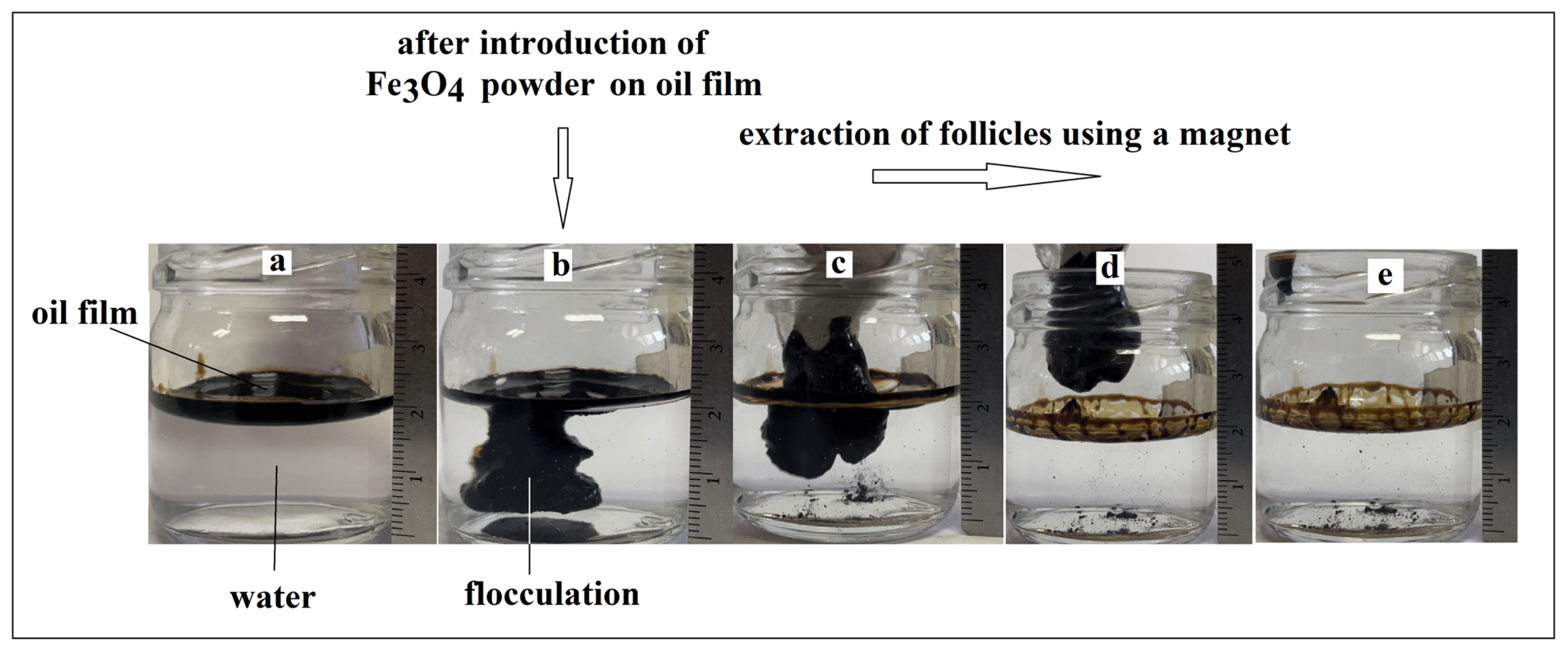 Compounds 04 00033 g008