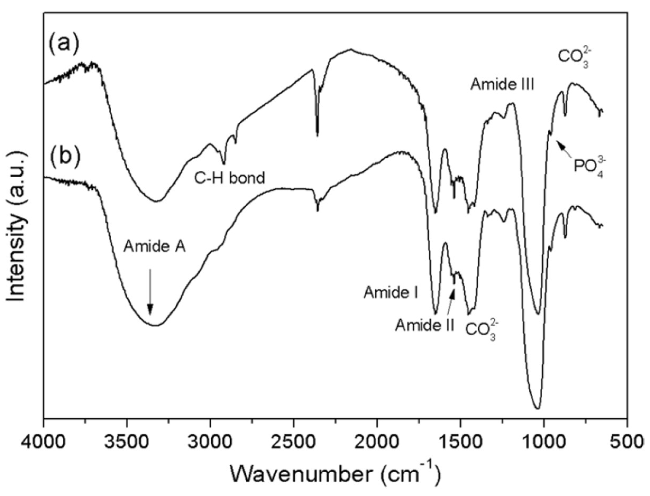 Compounds 04 00036 g001