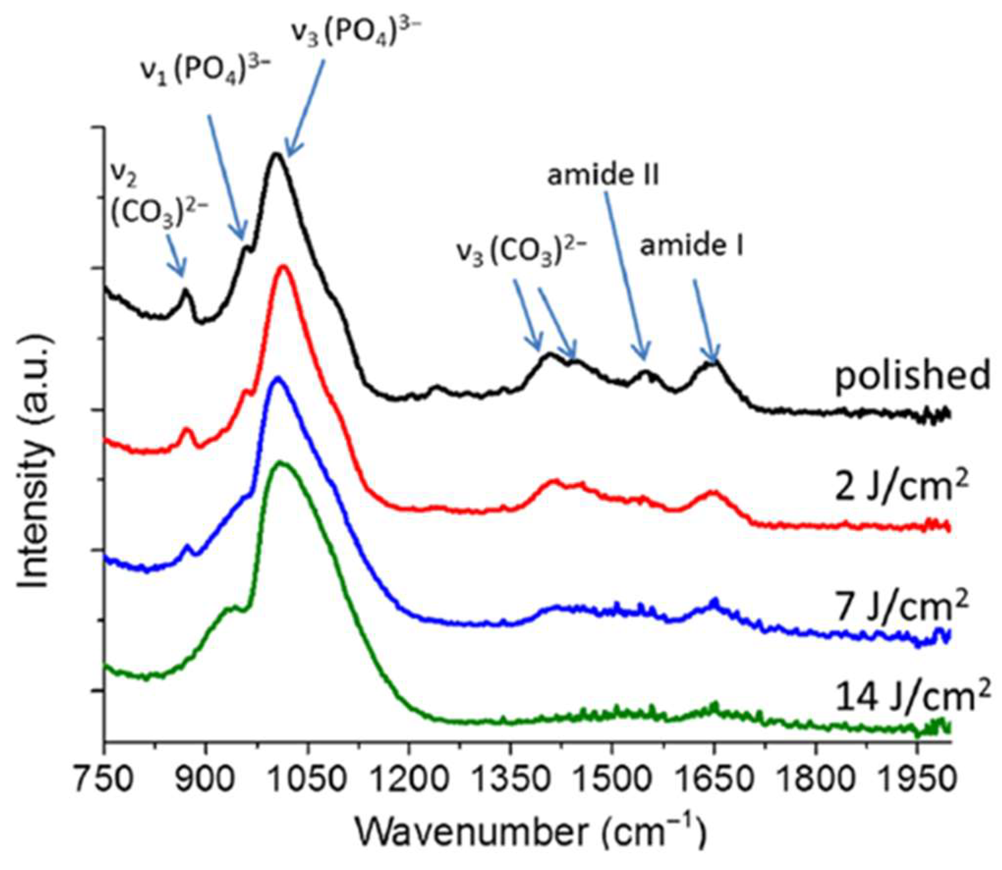 Compounds 04 00036 g002