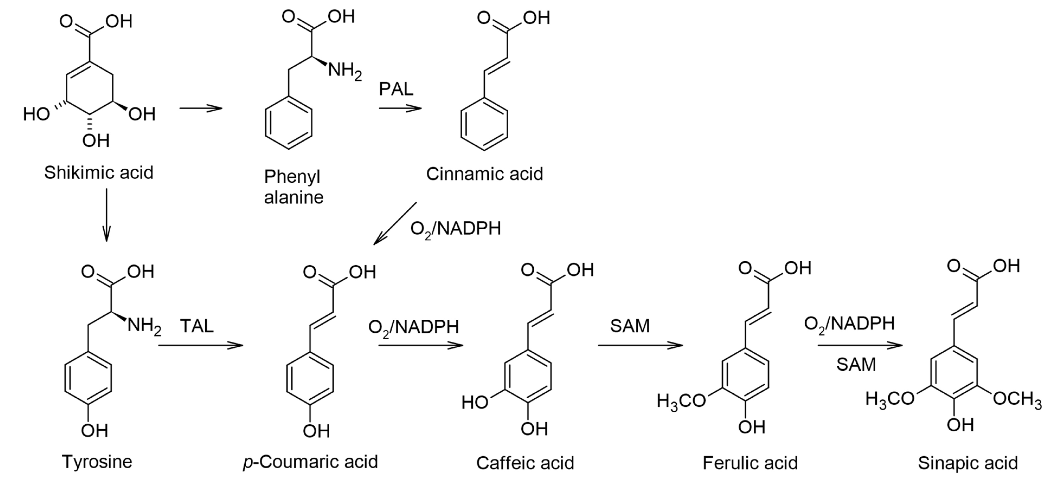 Compounds 04 00037 g001 Compounds 04 00037 g001
