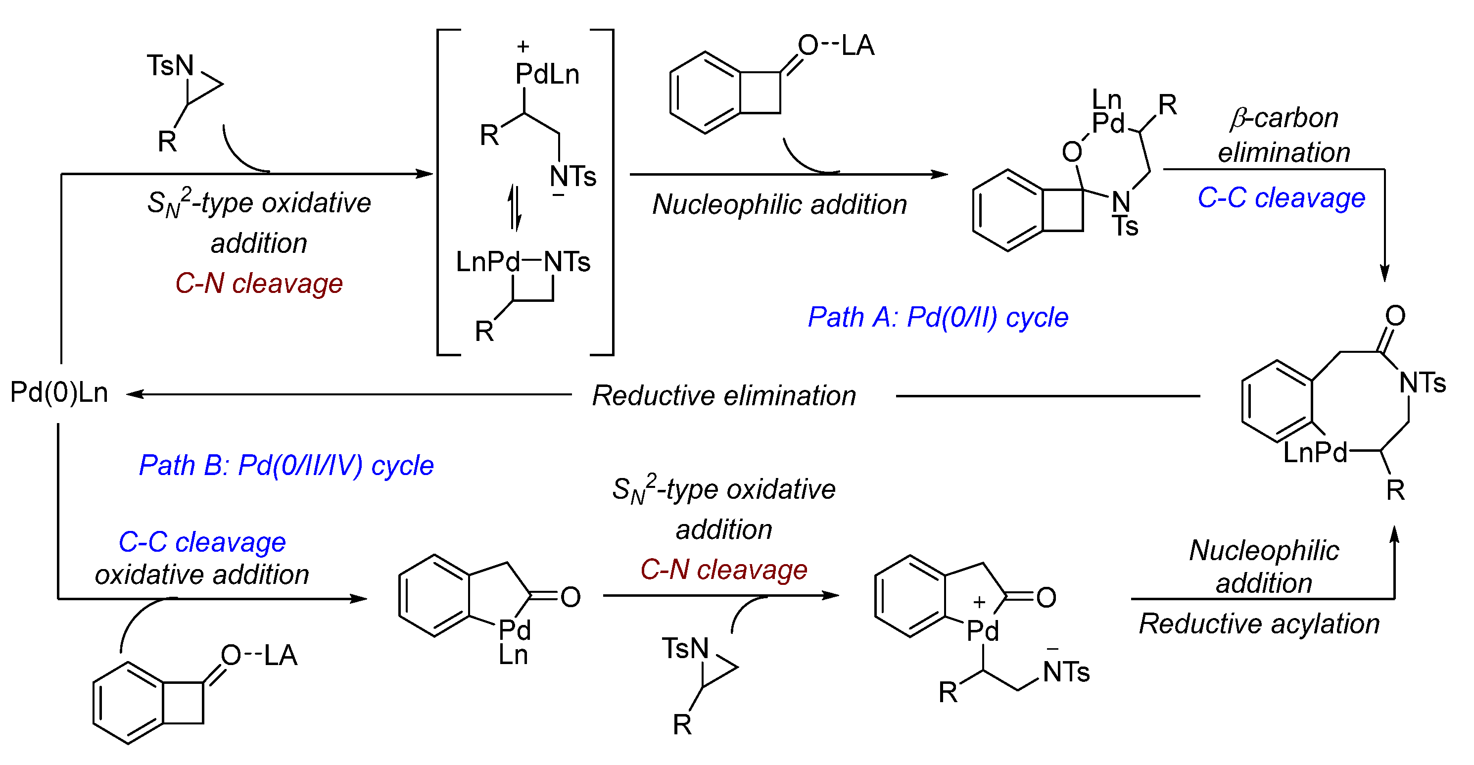 Compounds 04 00038 sch010