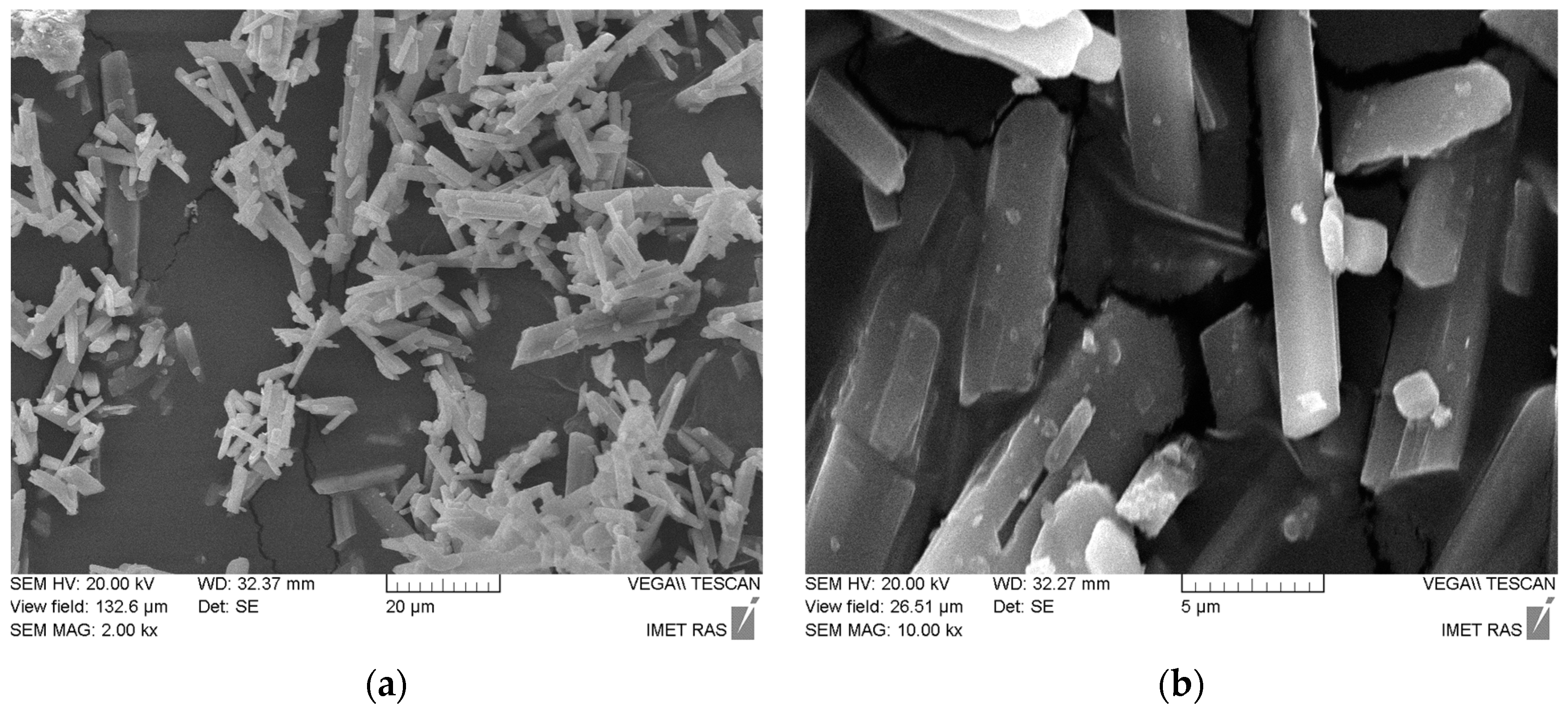 Compounds 04 00039 g006a