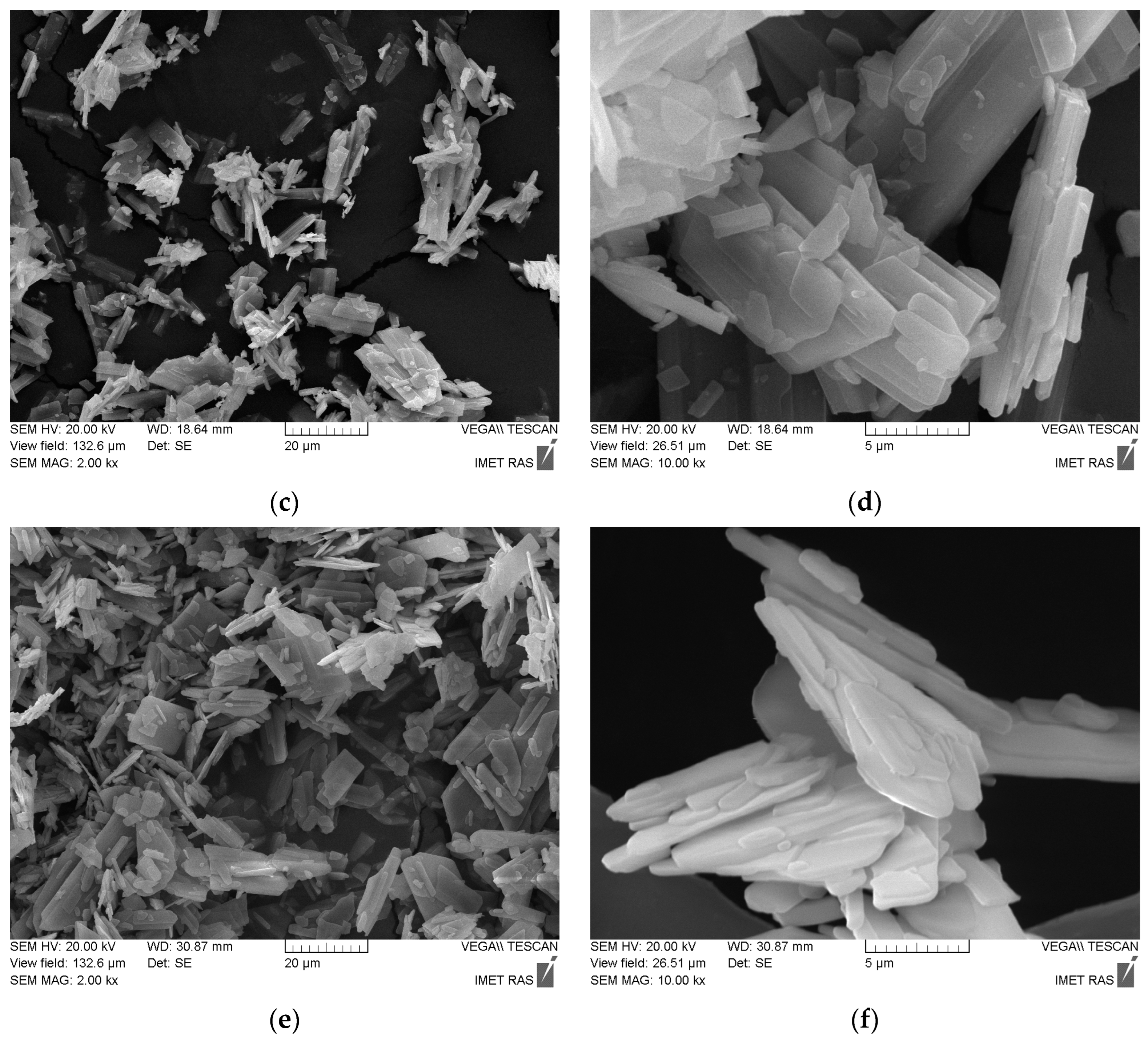 Compounds 04 00039 g006b