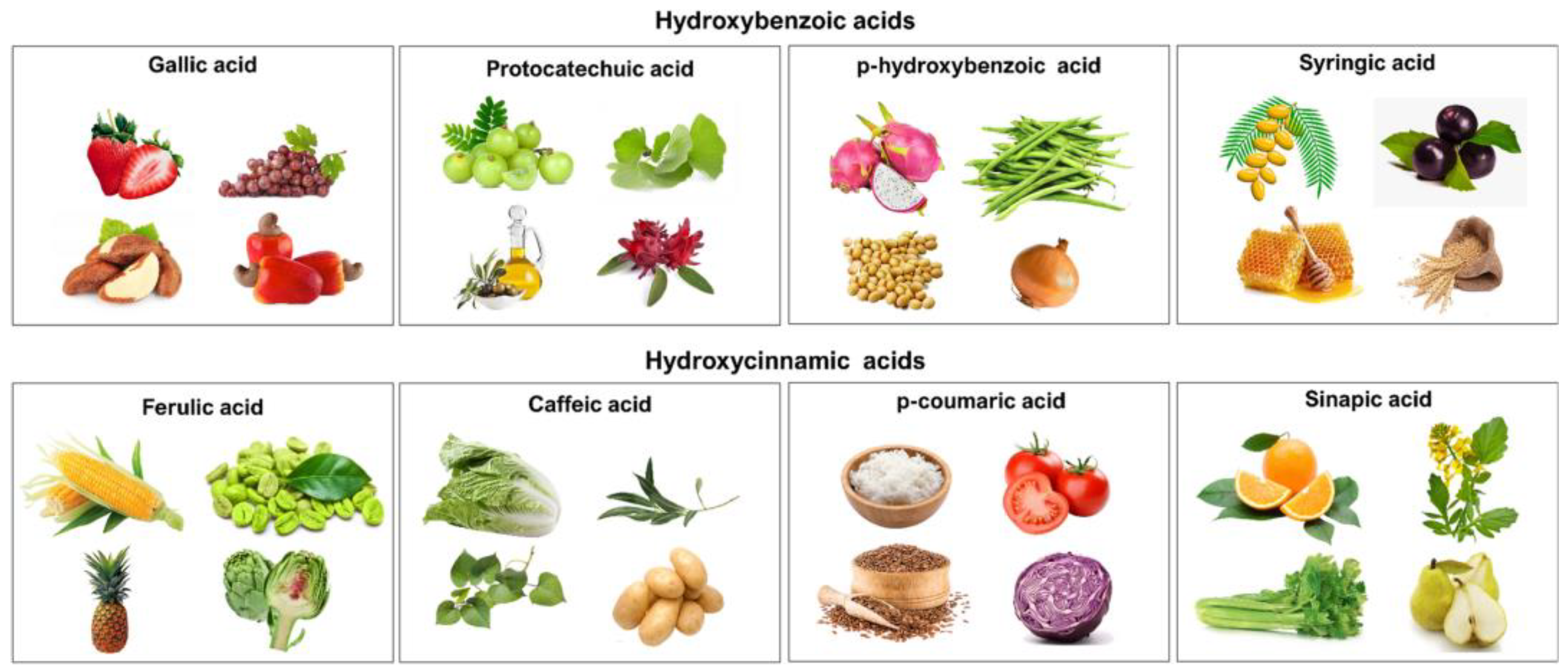 Compounds 05 00004 g008