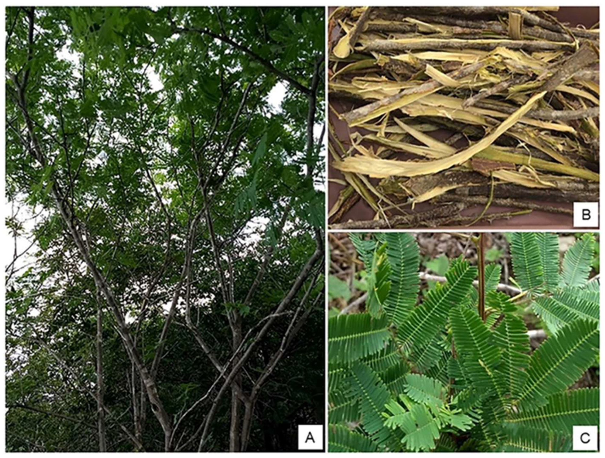 Compounds 05 00009 g001